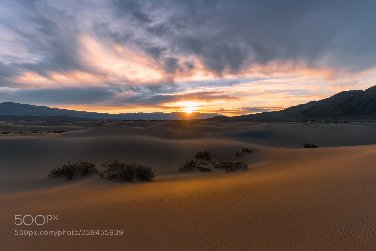 Sony a7R II sample photo. Sunrise mesquite flat sand photography