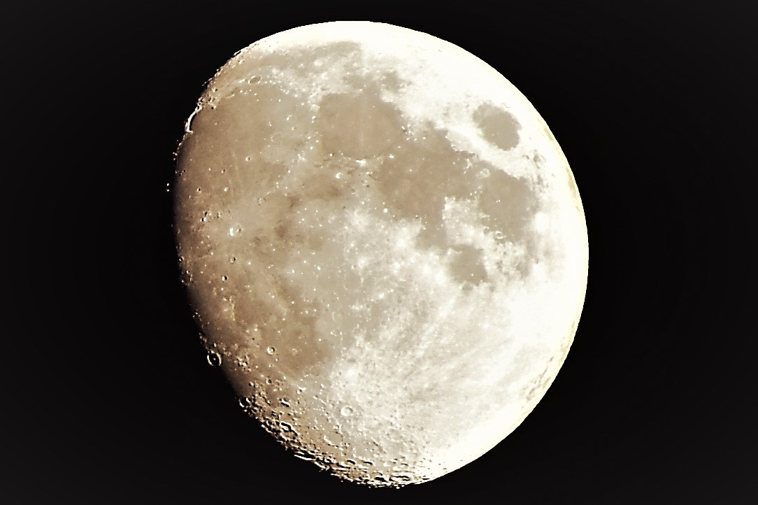 Nikon D5600 sample photo