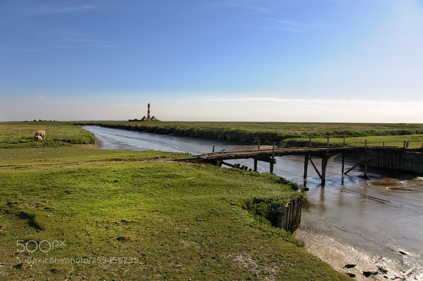 Nikon D300 sample photo. Untitled photography