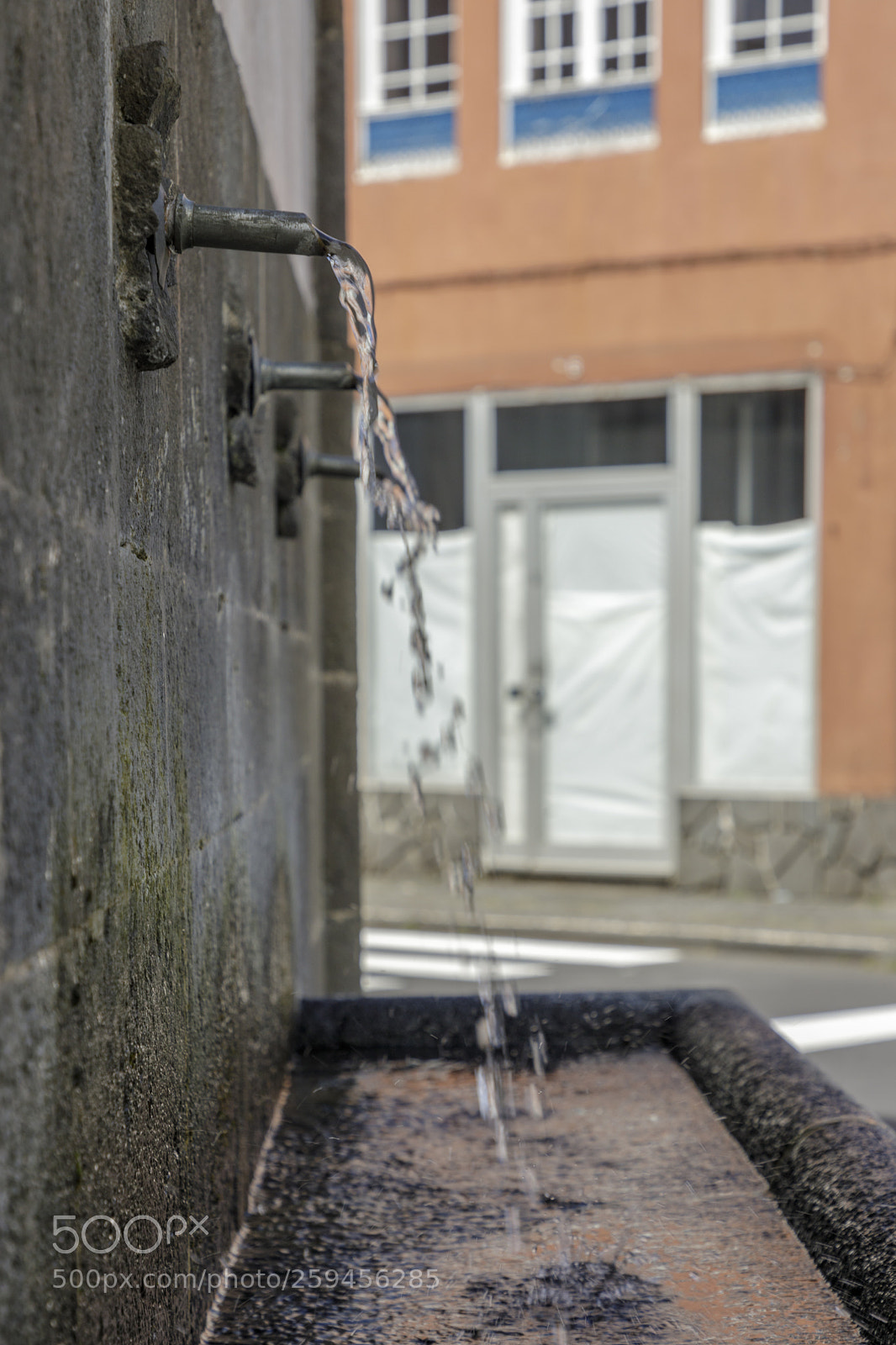 Canon EOS 5D Mark IV sample photo. A ores-s o miguel-furnas photography