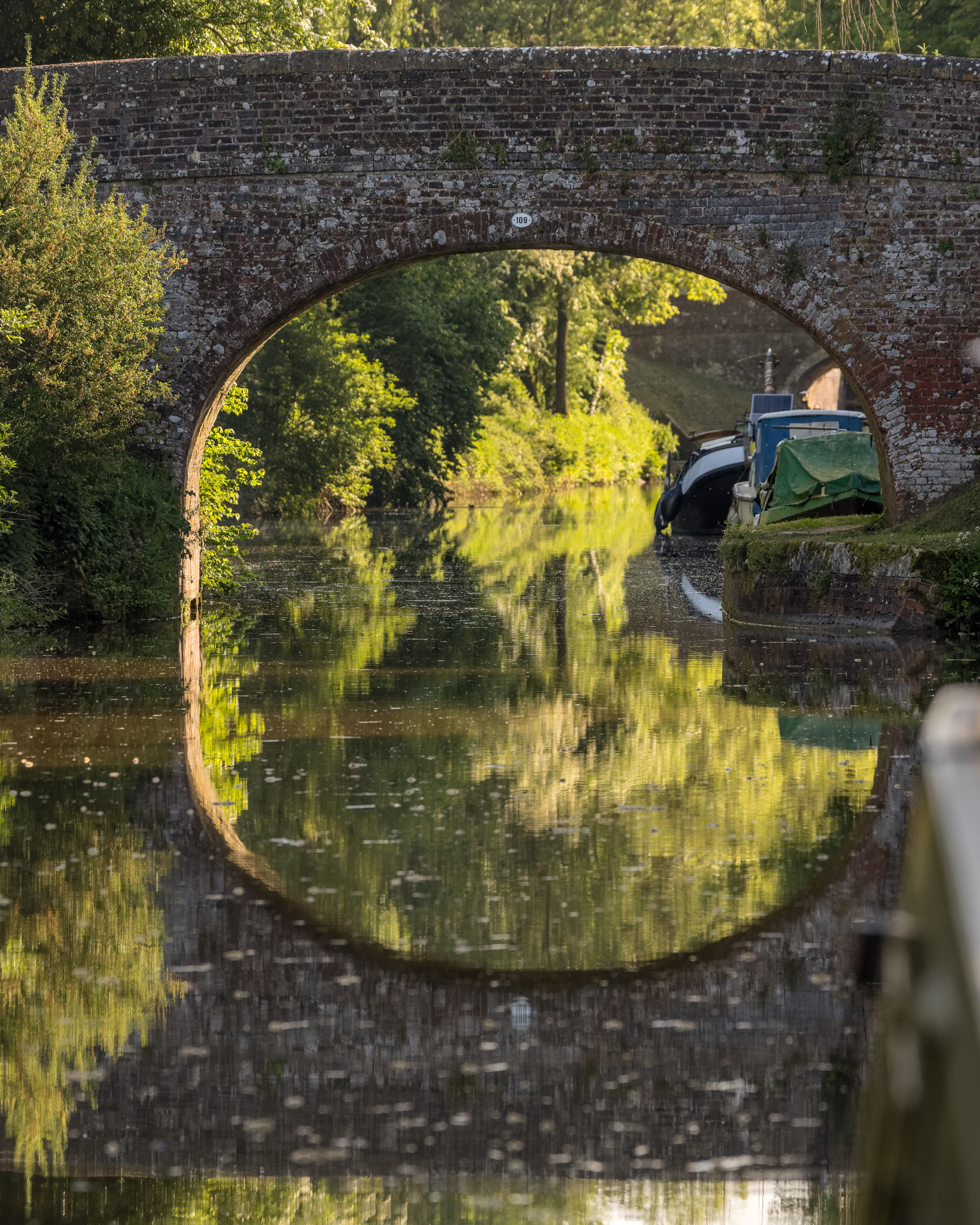 Pentax K-1 + Pentax D FA 150-450mm F4.5-5.6 ED DC AW sample photo. Kennet and avon canal photography