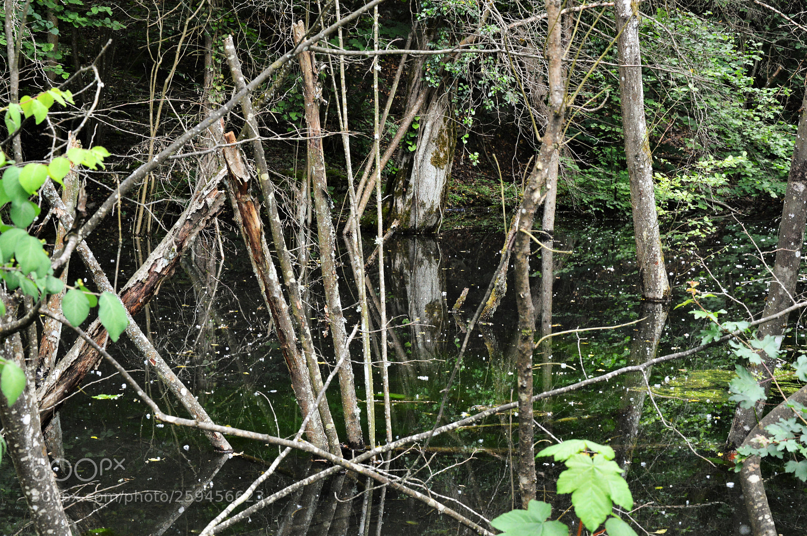 Nikon D3200 sample photo. Untitled photography