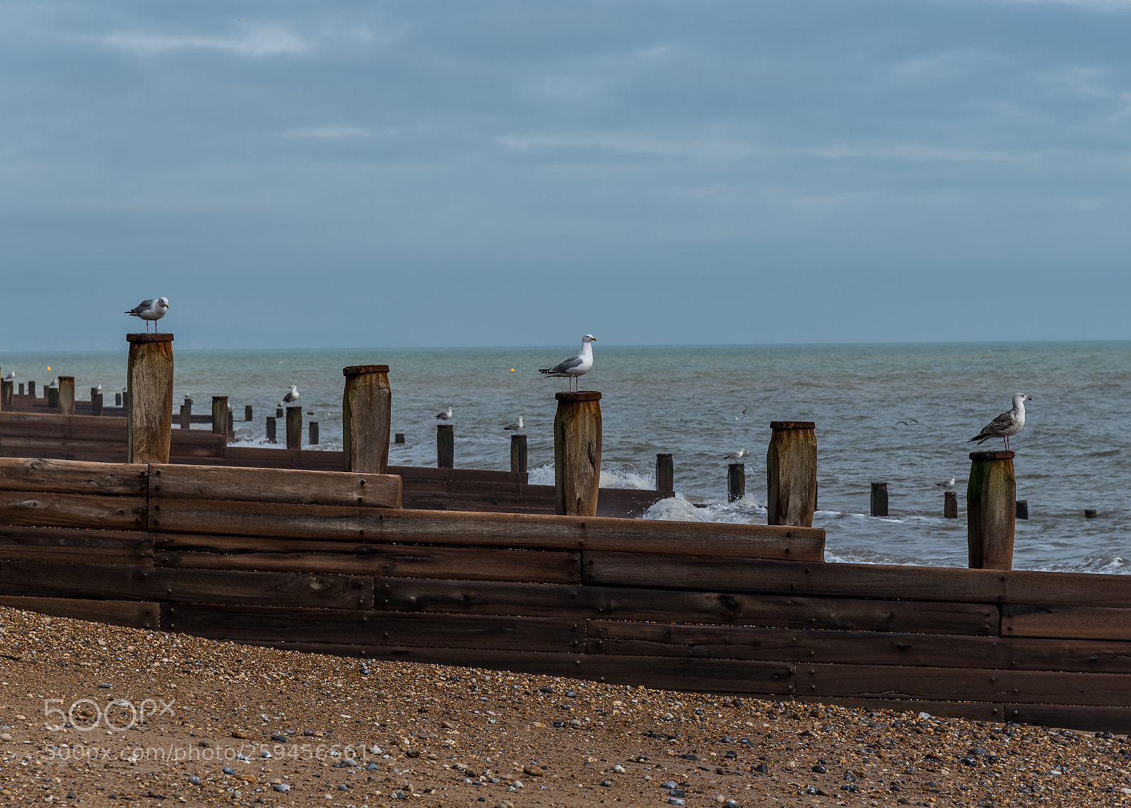 Nikon D750 sample photo. Eastbourne, uk photography