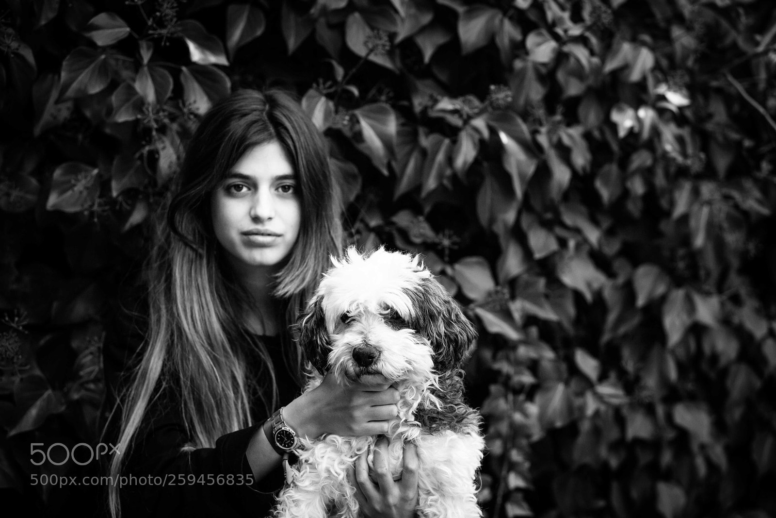 Canon EOS 5D Mark II sample photo. Dog in bnw photography