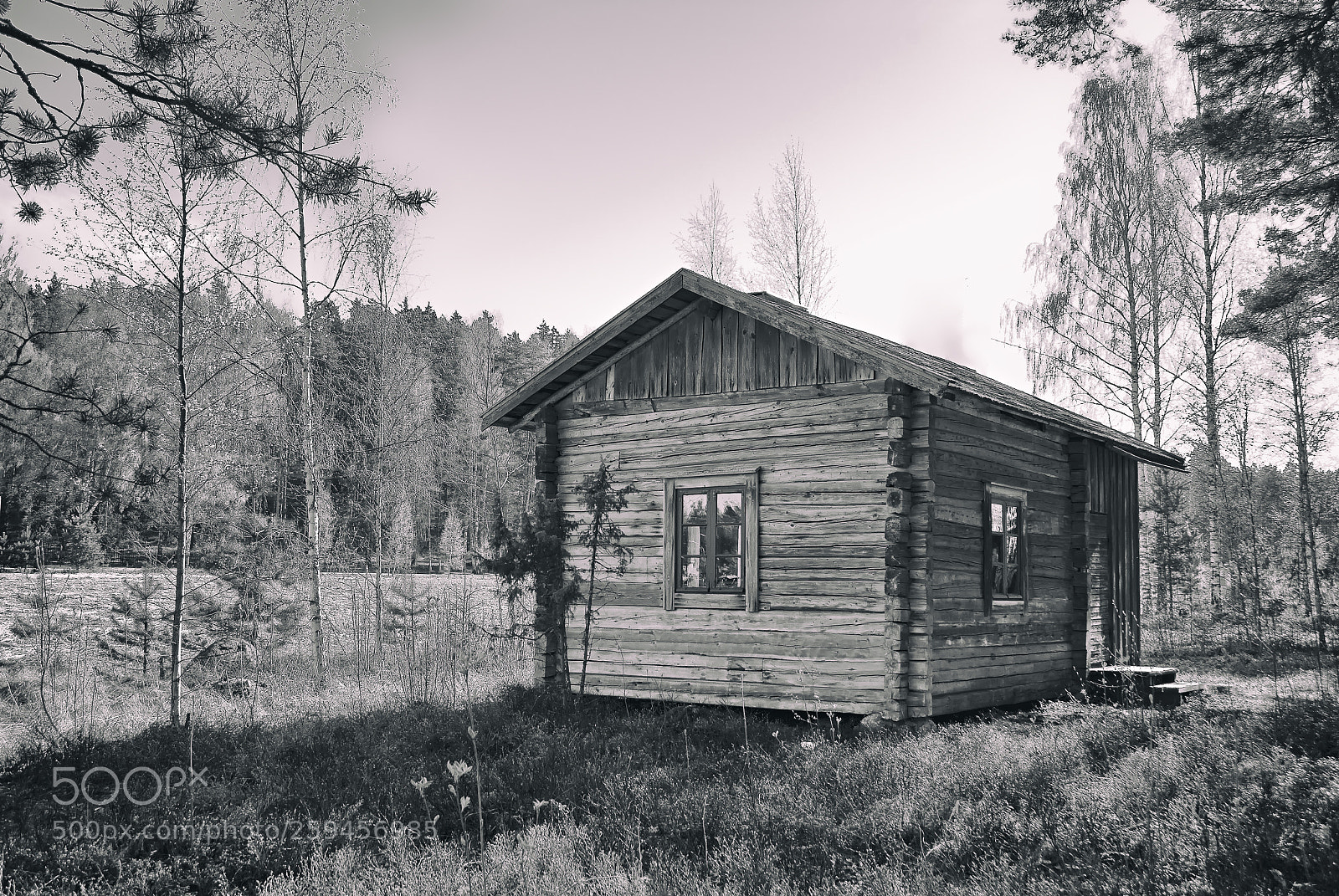 Nikon D3000 sample photo. Old buildng photography