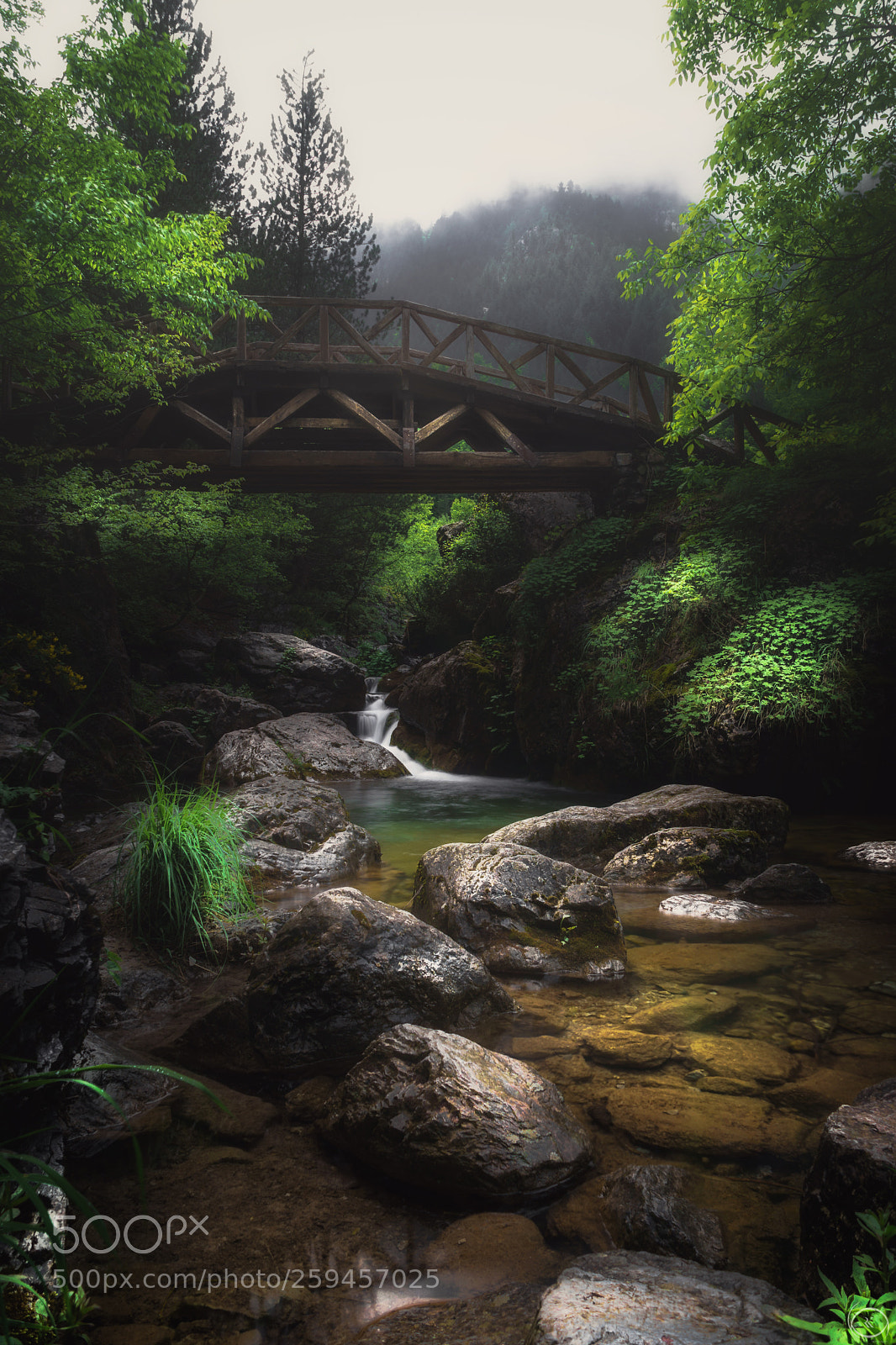 Sony ILCA-77M2 sample photo. Falls prionia photography