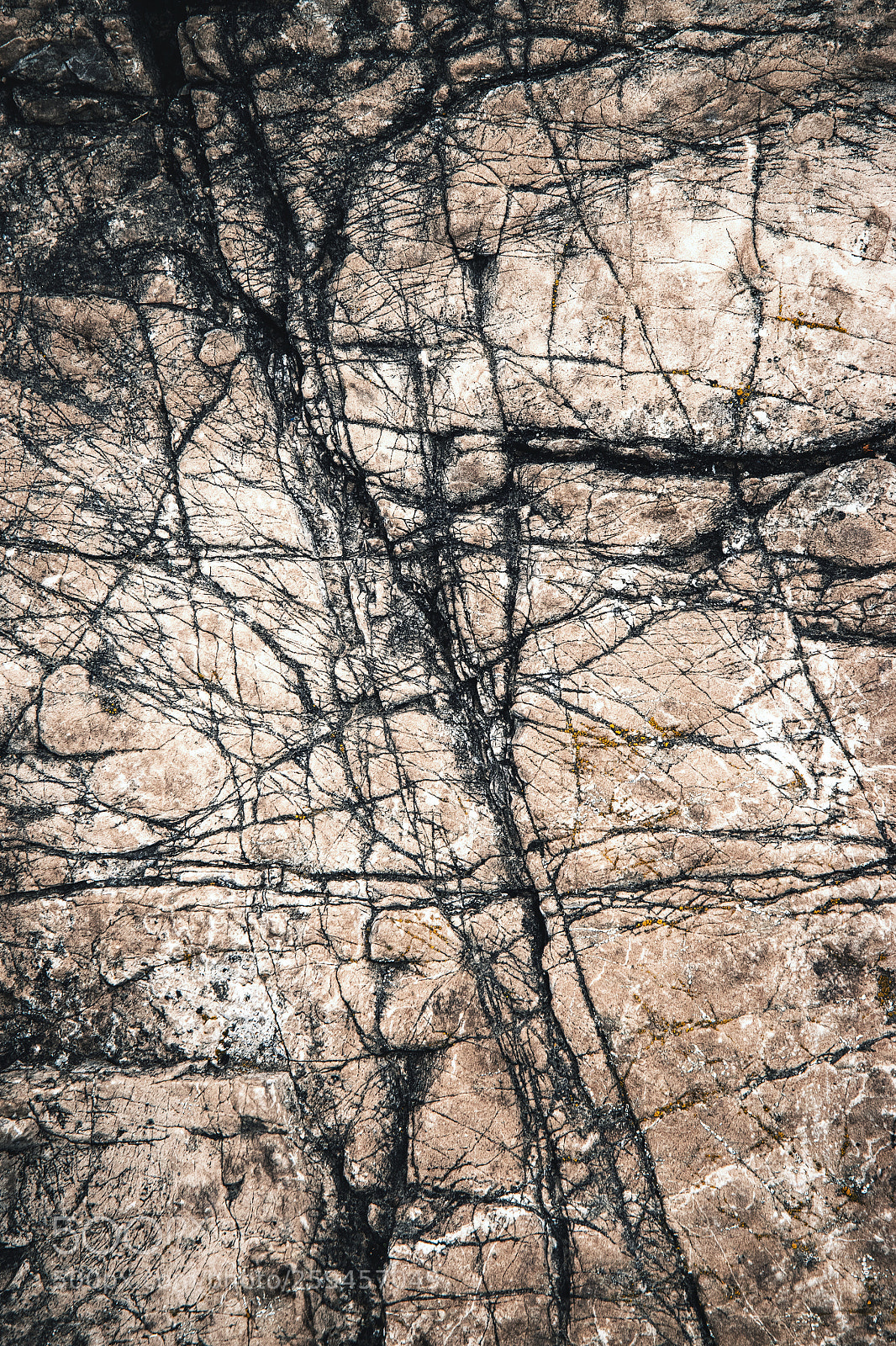 Nikon D5500 sample photo. Texture detail groove on photography