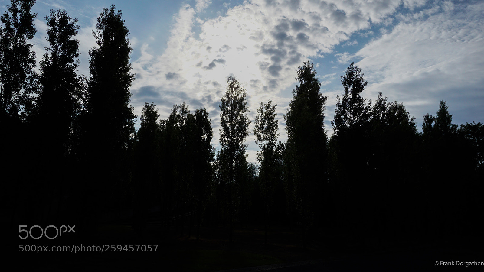 Sony a6000 sample photo. Silhouette trees photography