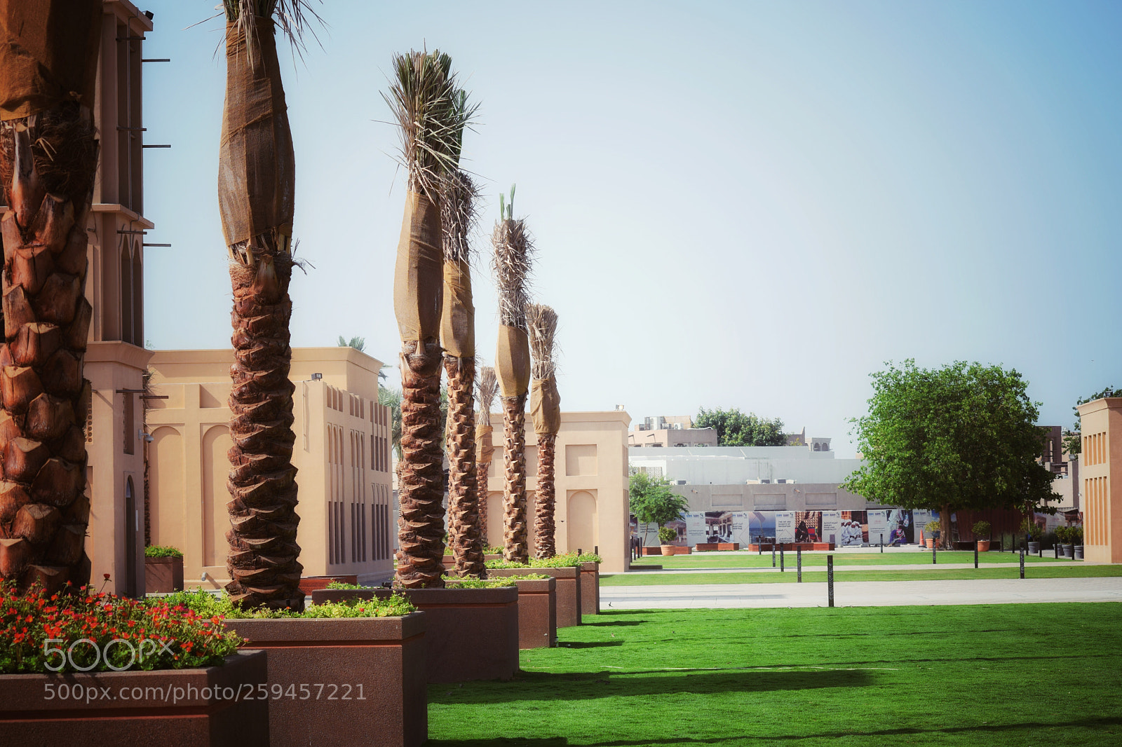 Nikon D5300 sample photo. Untitled photography