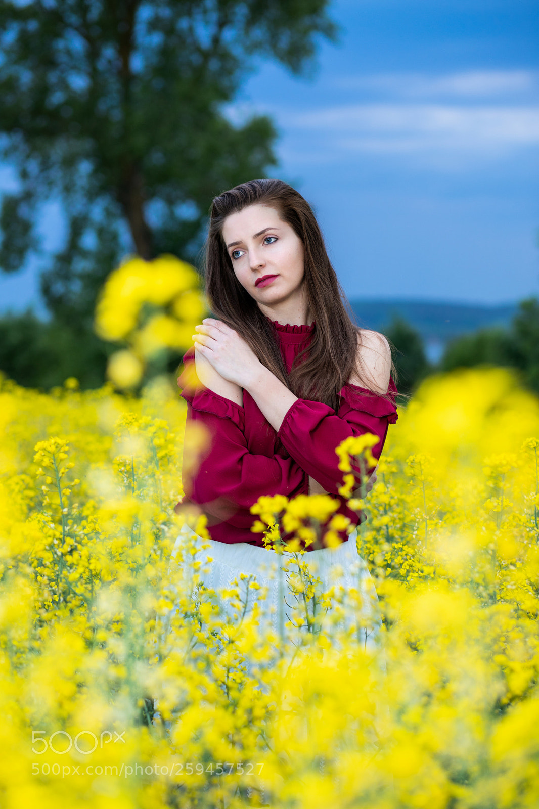 Canon EOS 6D Mark II sample photo. Catterin photography