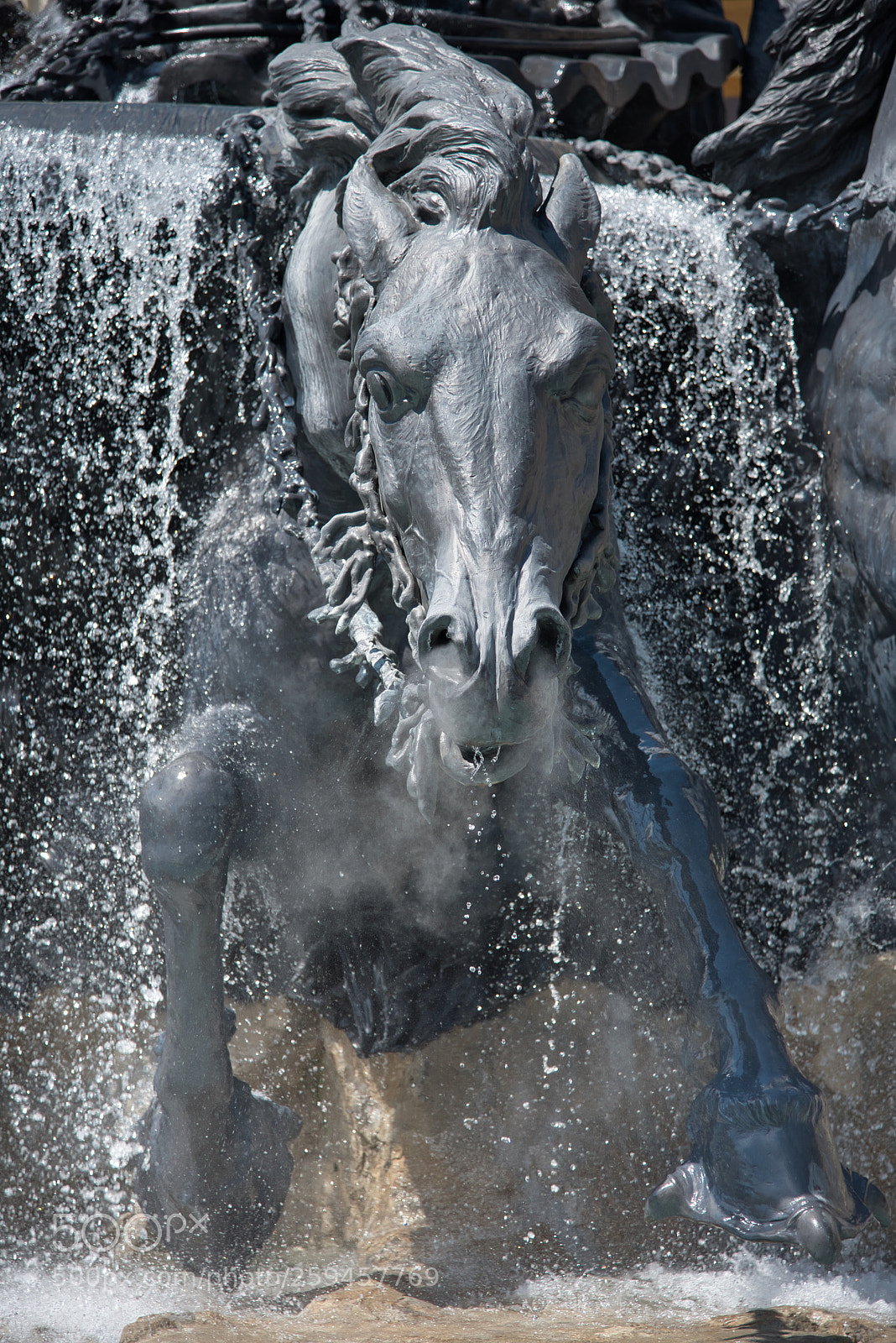 Nikon D750 sample photo. Bartholdi’s fountain. 
lyon.  photography