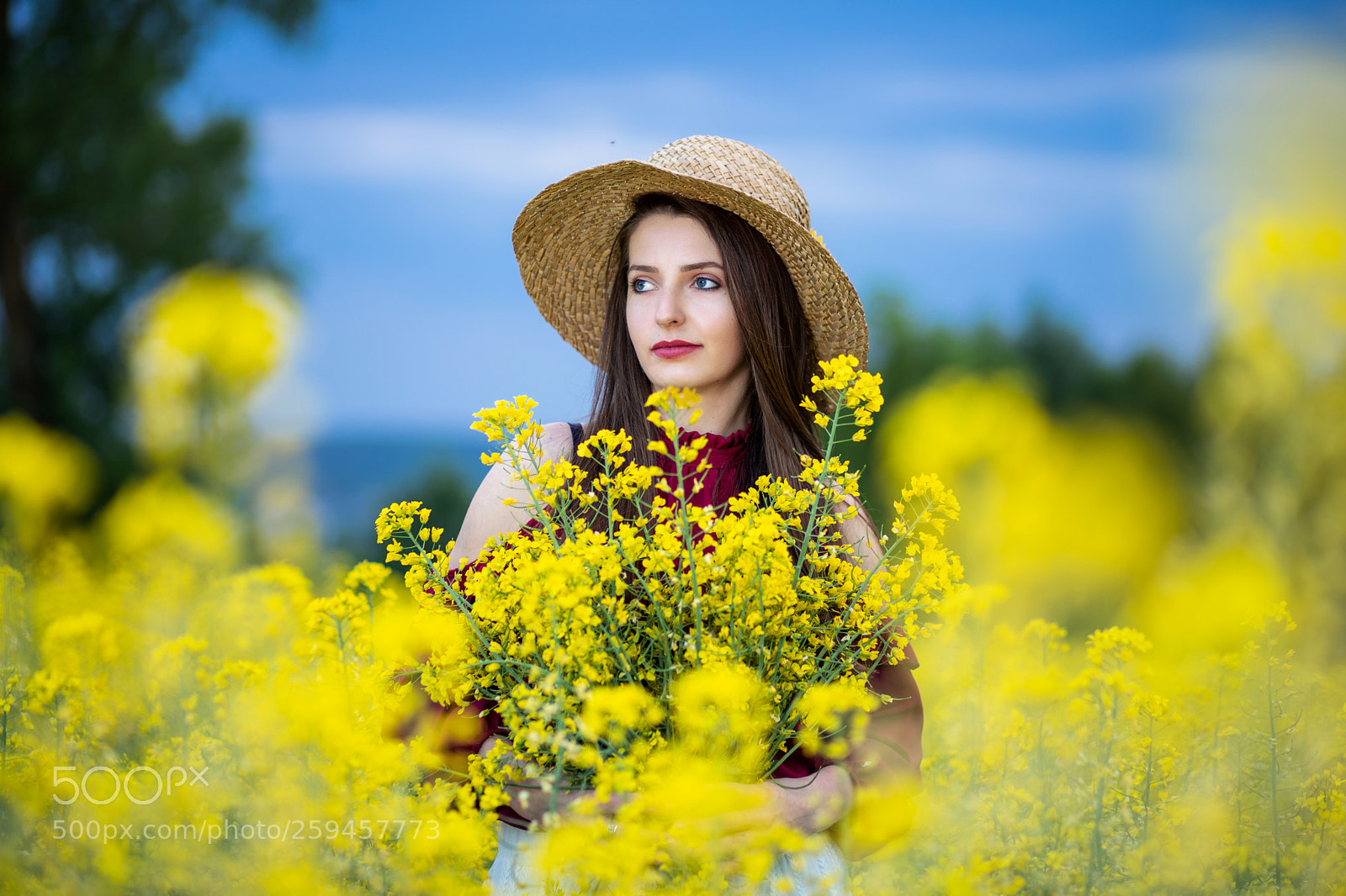 Canon EOS 6D Mark II sample photo. Catterin photography