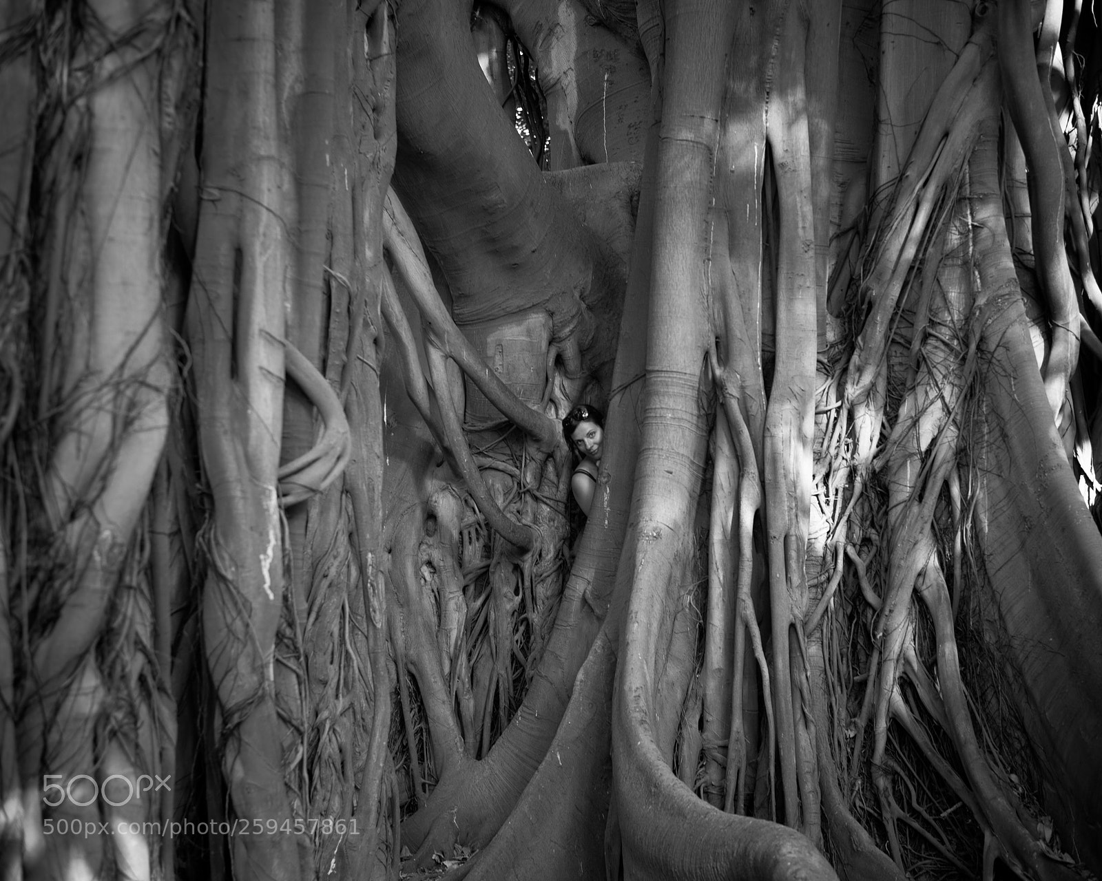 Nikon Df sample photo. Maria im ficus photography