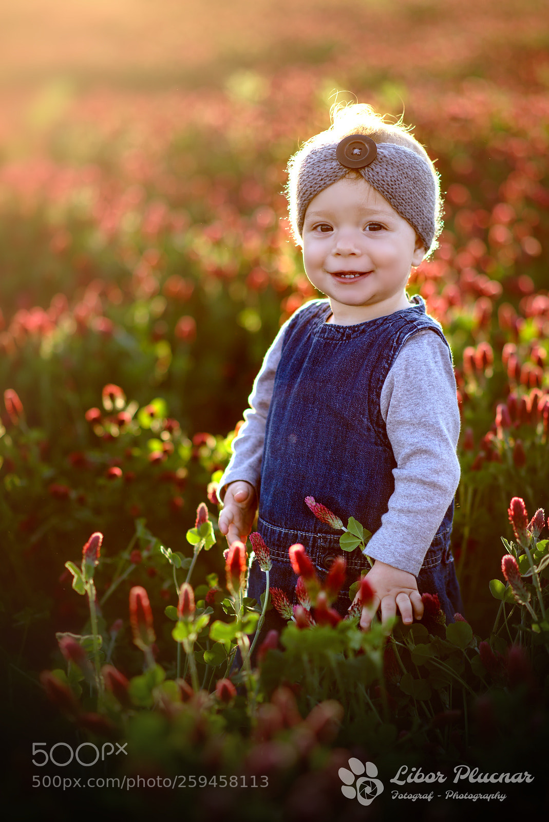 Nikon D610 sample photo. Emma - evening meadow photography