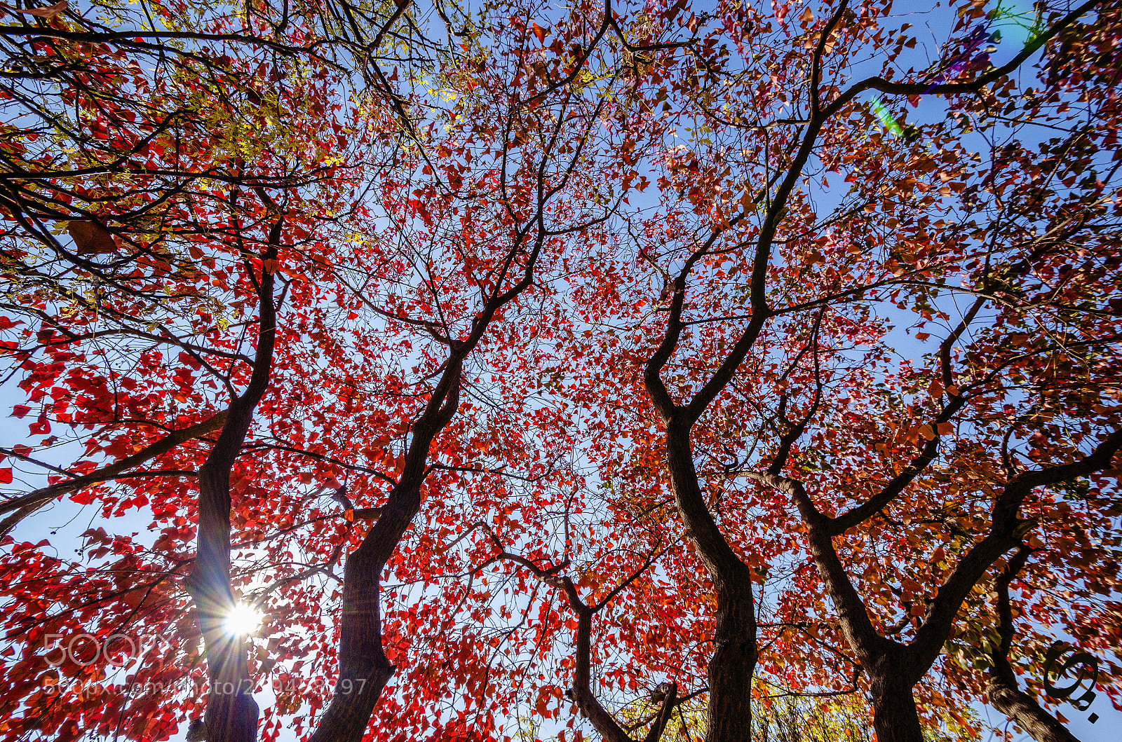 Nikon D7000 sample photo. Autumn photography