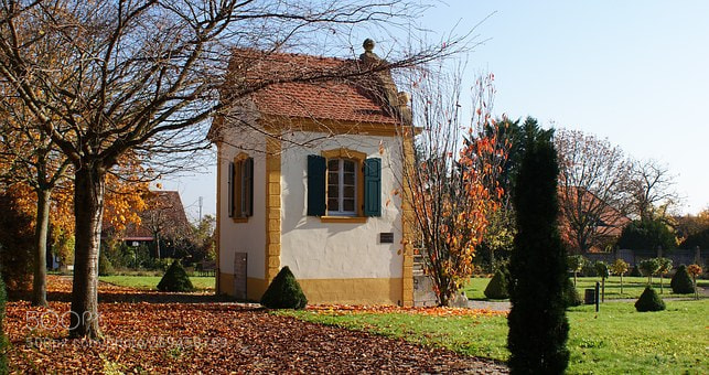 Sony Alpha DSLR-A200 sample photo. Freinsheim photography