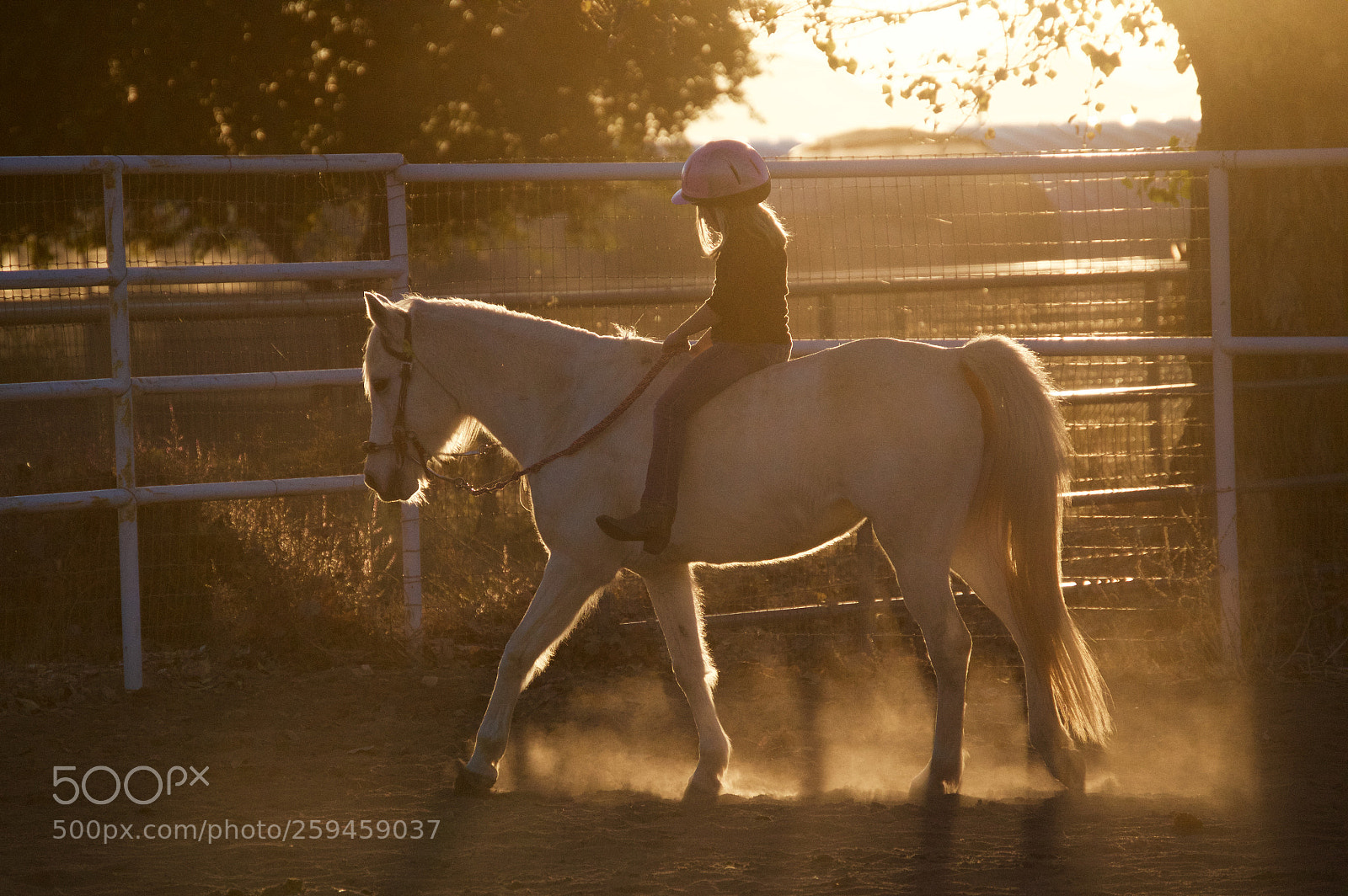 Nikon D3200 sample photo. Golden hour horseback photography