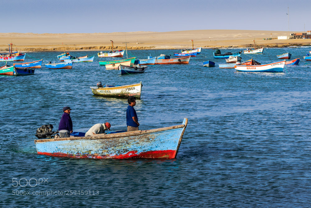 Nikon D3300 sample photo. Lagunillas, paracas photography