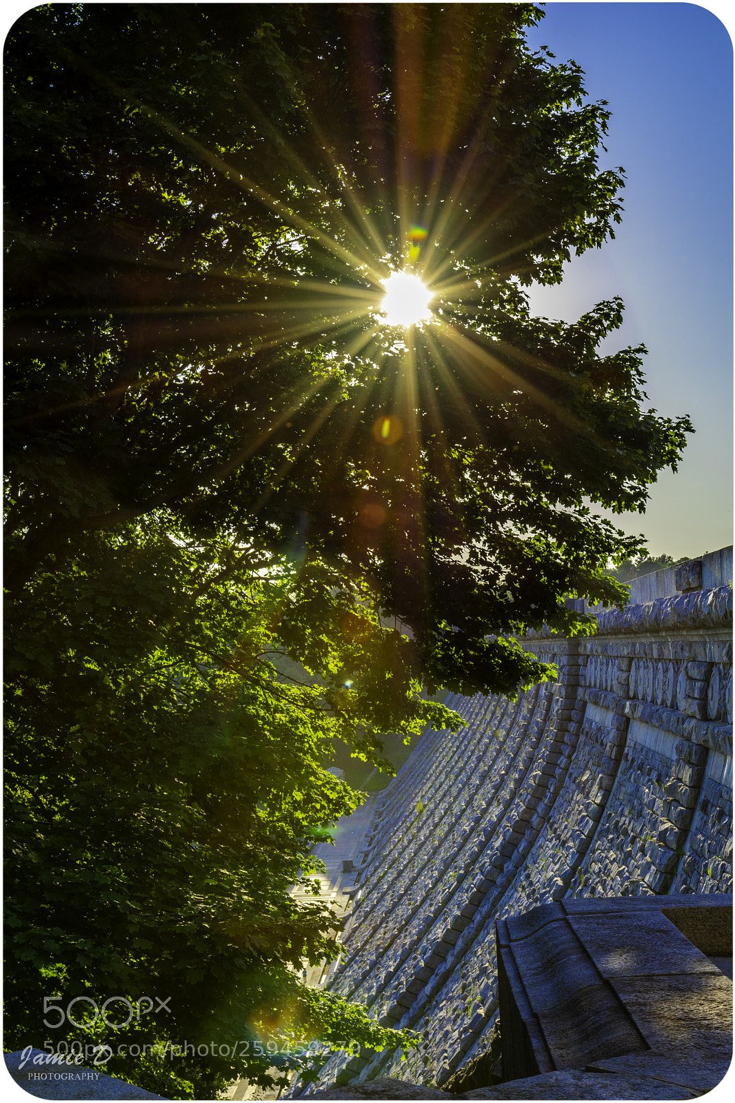 Nikon D7100 sample photo. Shine bright photography