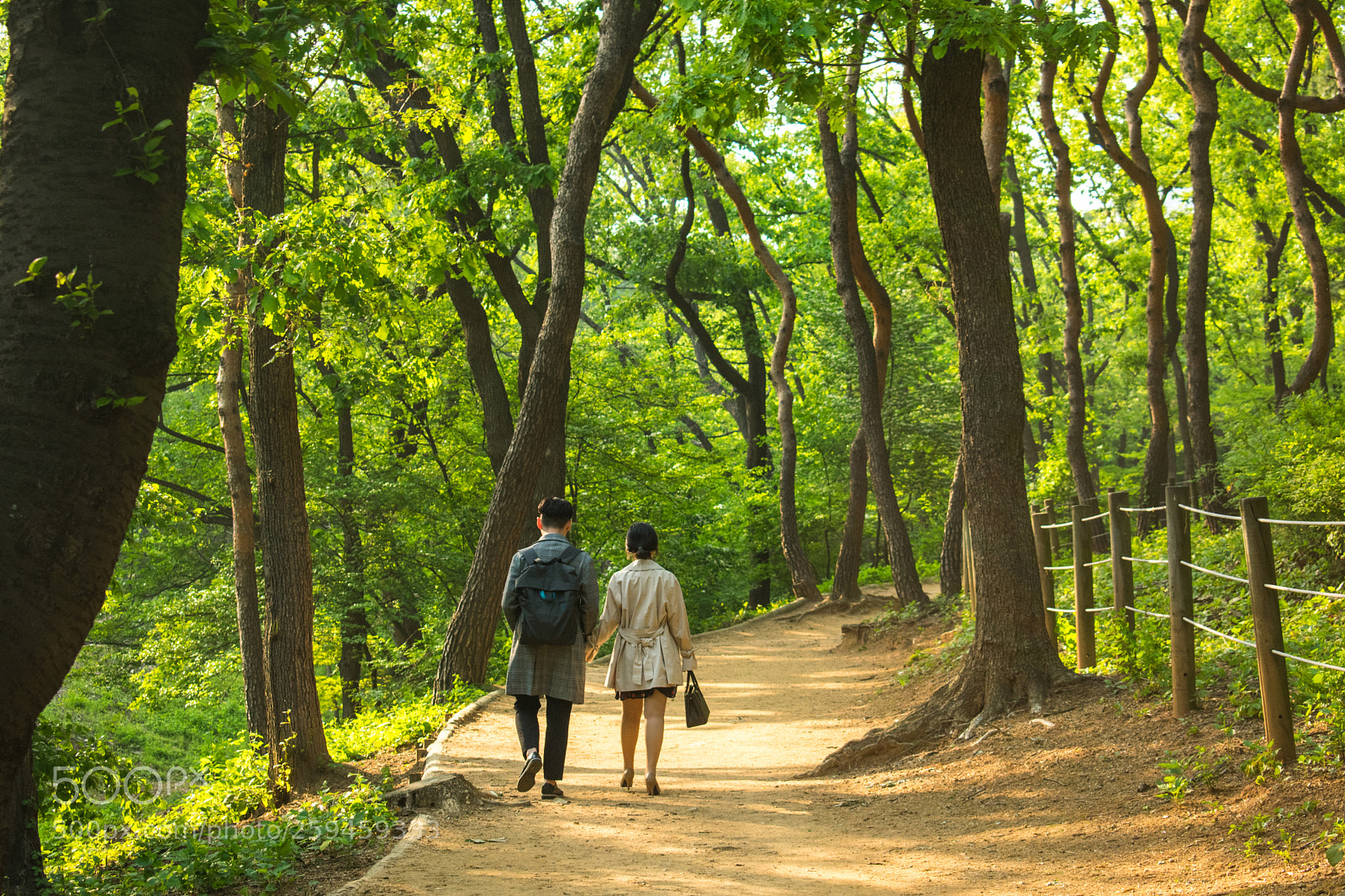 Nikon D3400 sample photo. Lover's stroll photography