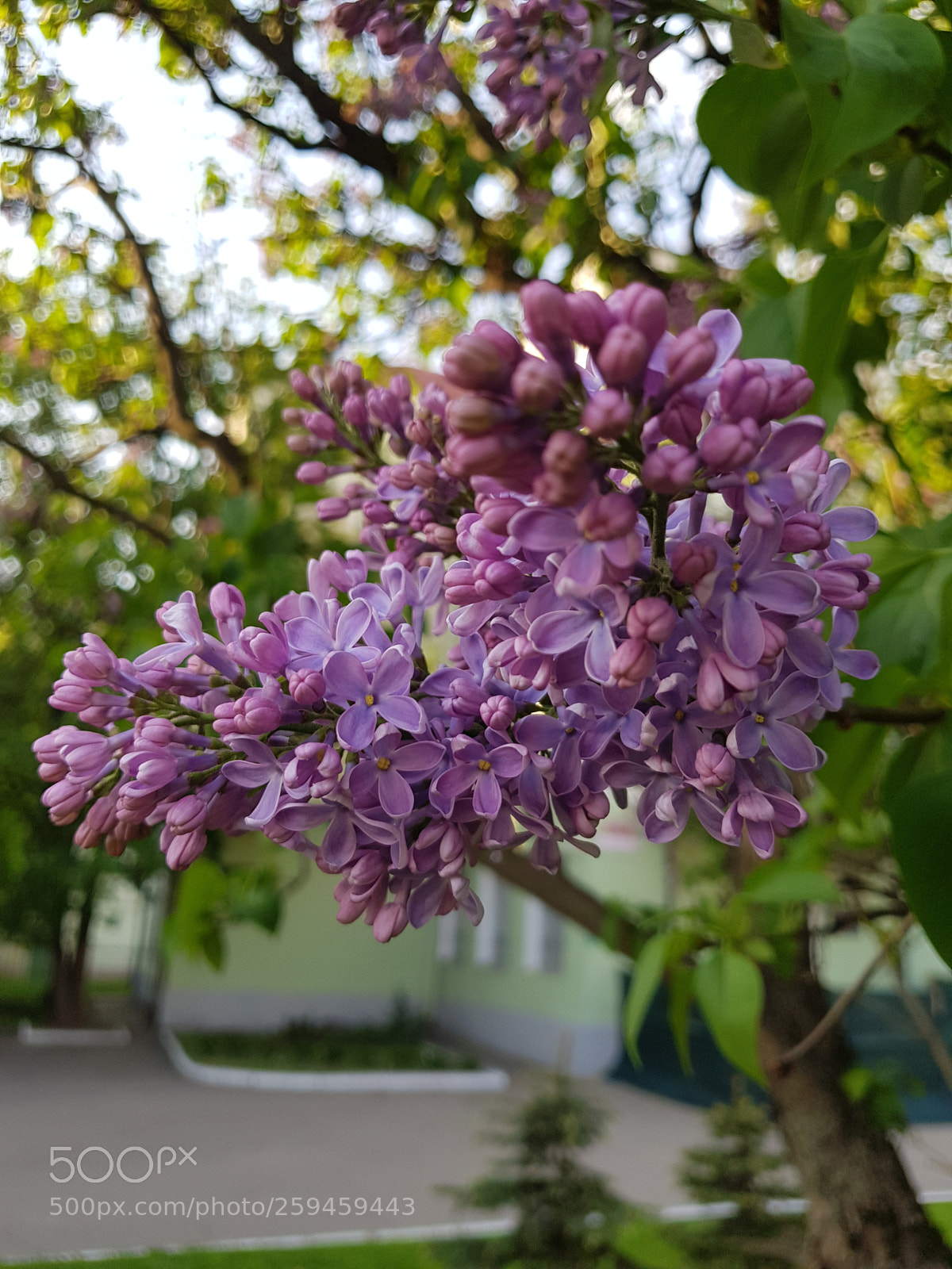 Samsung Galaxy S8+ sample photo. Untitled photography