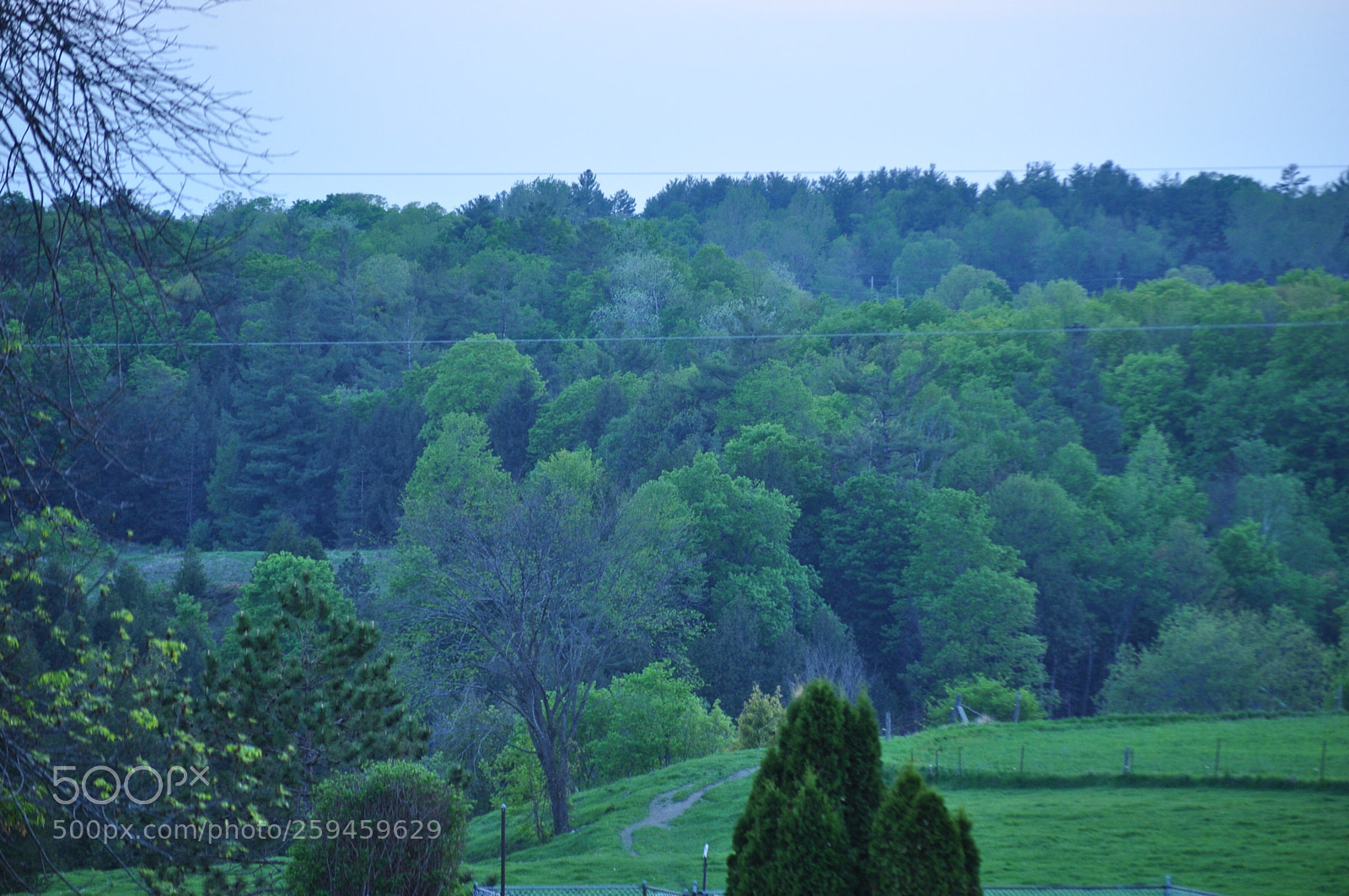 Nikon D5000 sample photo. Spring countryside photography