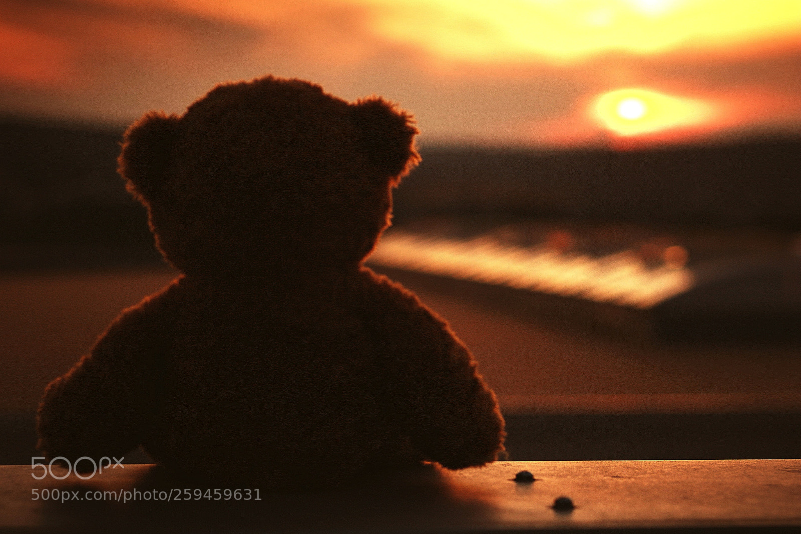 Canon EOS 750D (EOS Rebel T6i / EOS Kiss X8i) sample photo. Teddy in sunset photography