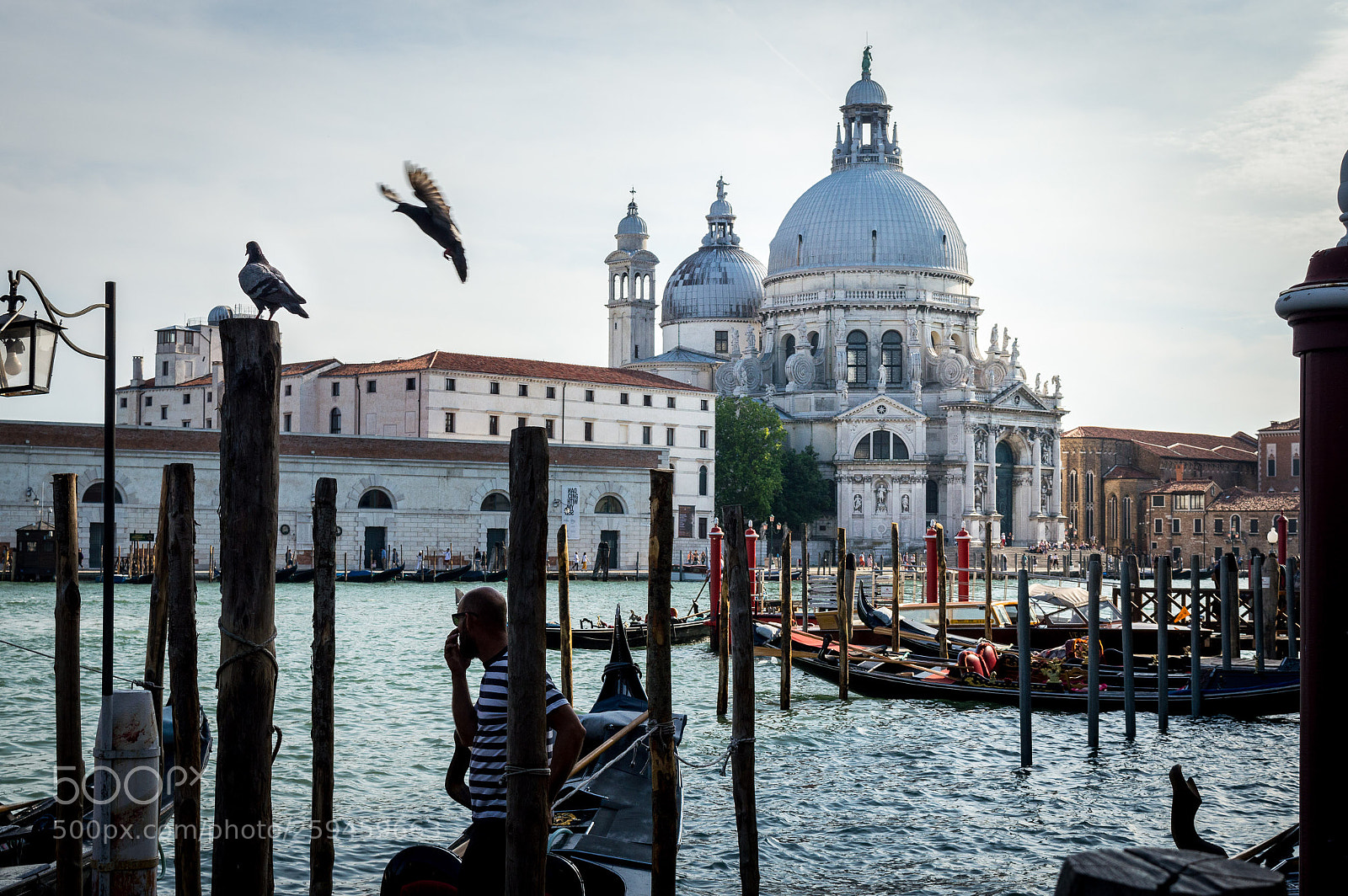 Nikon D3200 sample photo. Basilica di santa maria photography