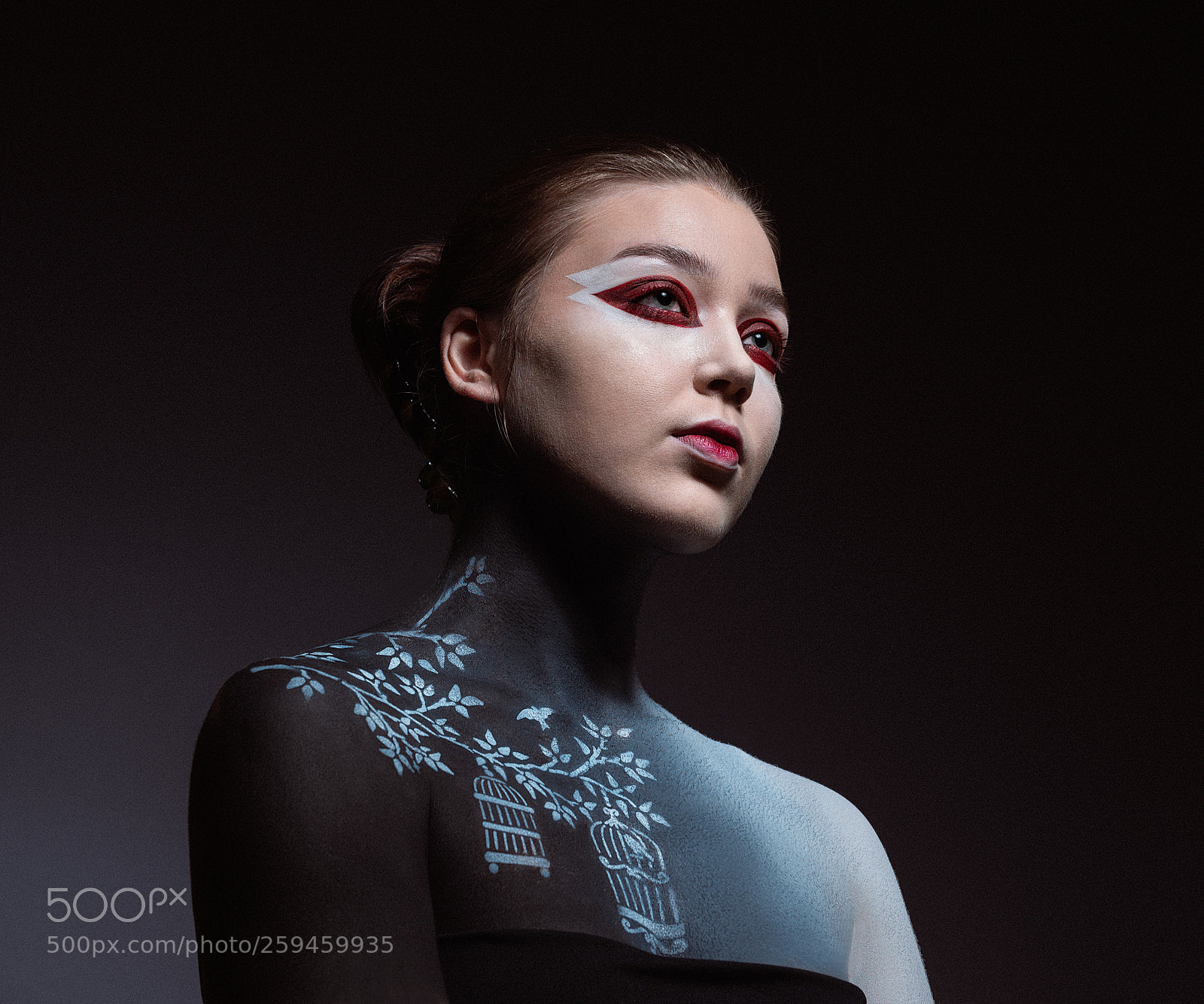 Nikon D810 sample photo. Birdcage photography