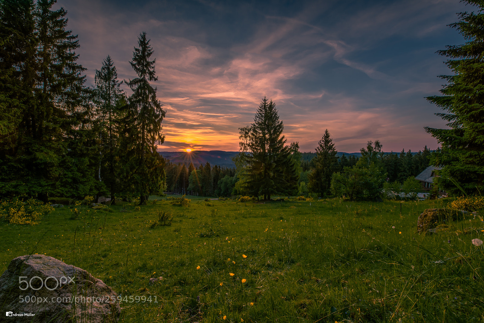 Nikon D810 sample photo. Mountain pasture in the photography