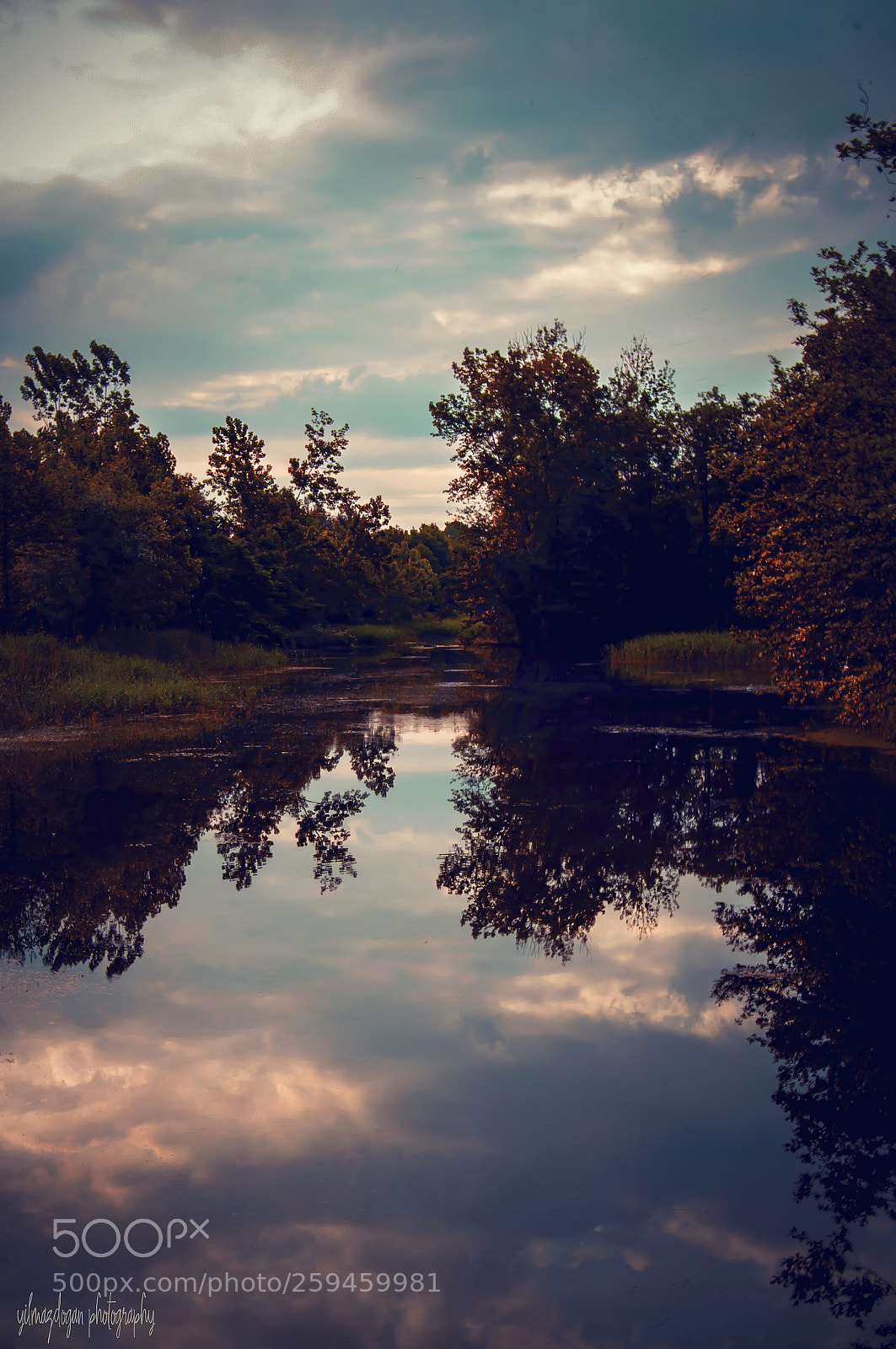 Nikon D90 sample photo. Reflection photography