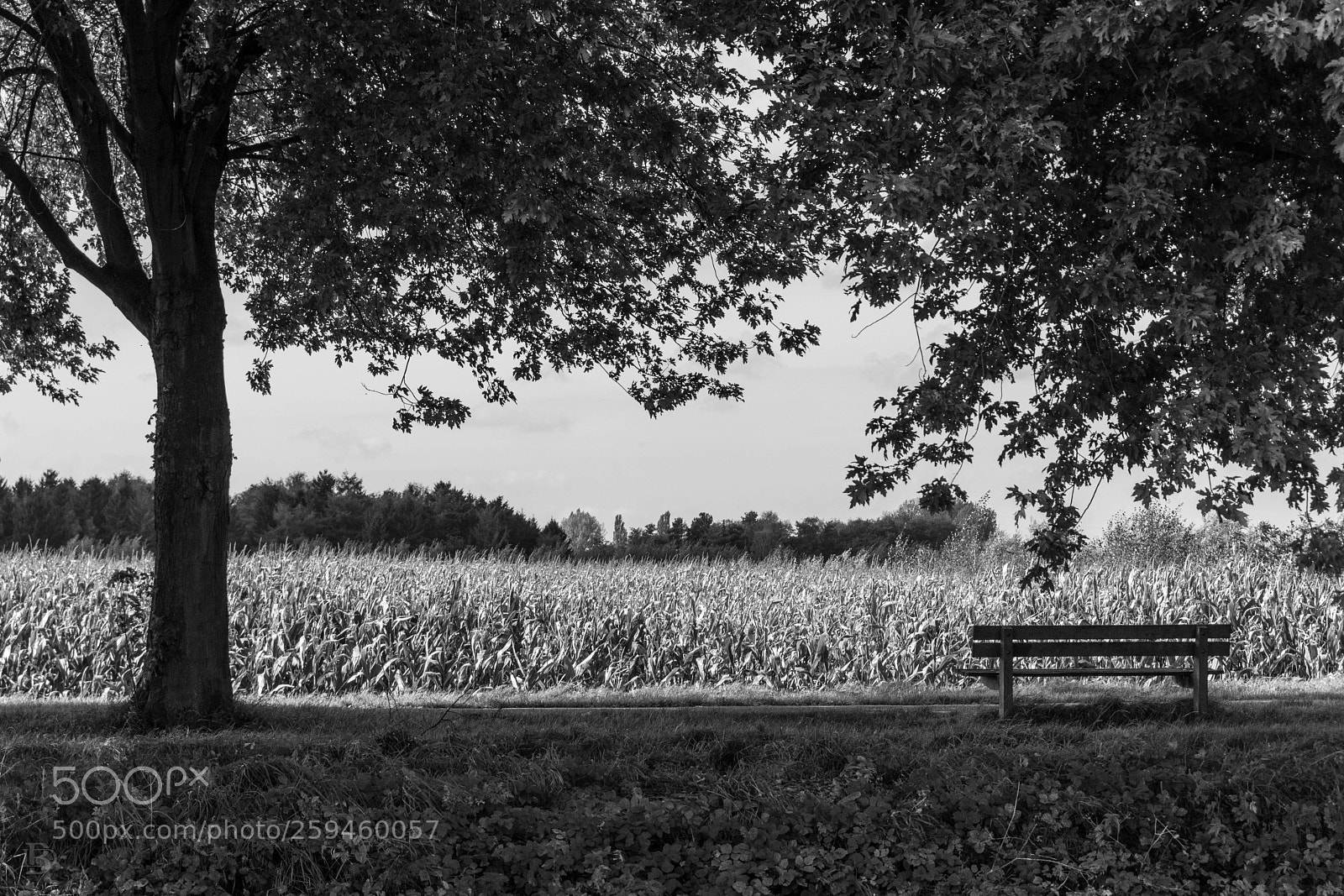 Sony a6000 sample photo. A silent place photography