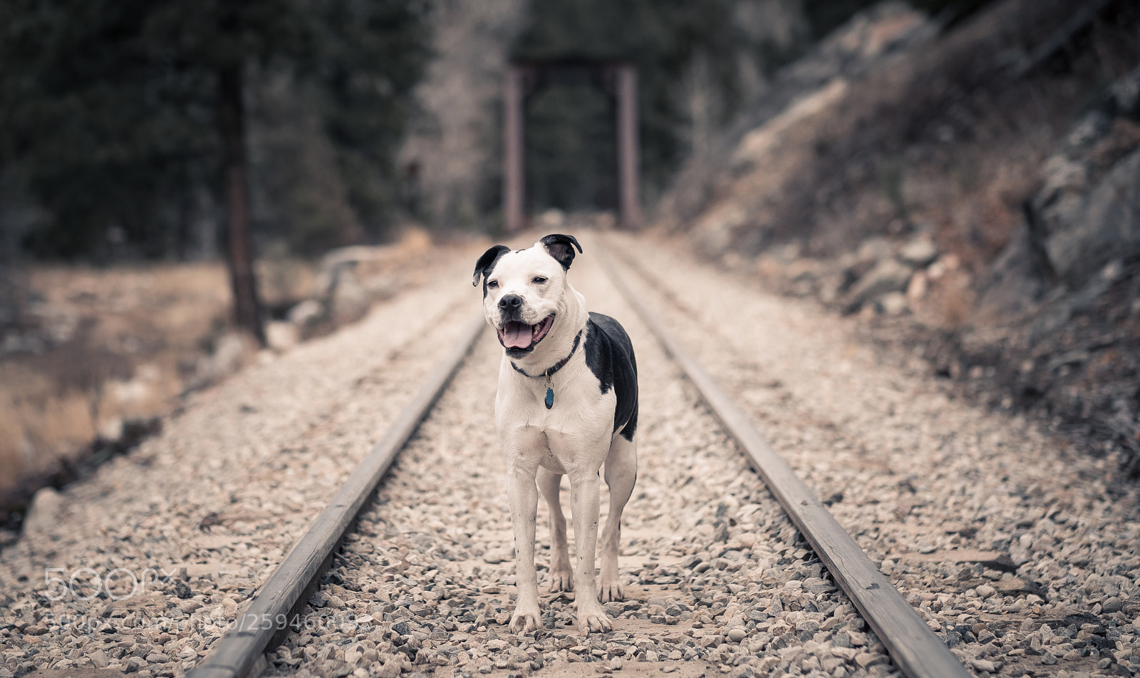 Fujifilm X-Pro2 sample photo. Finley photography