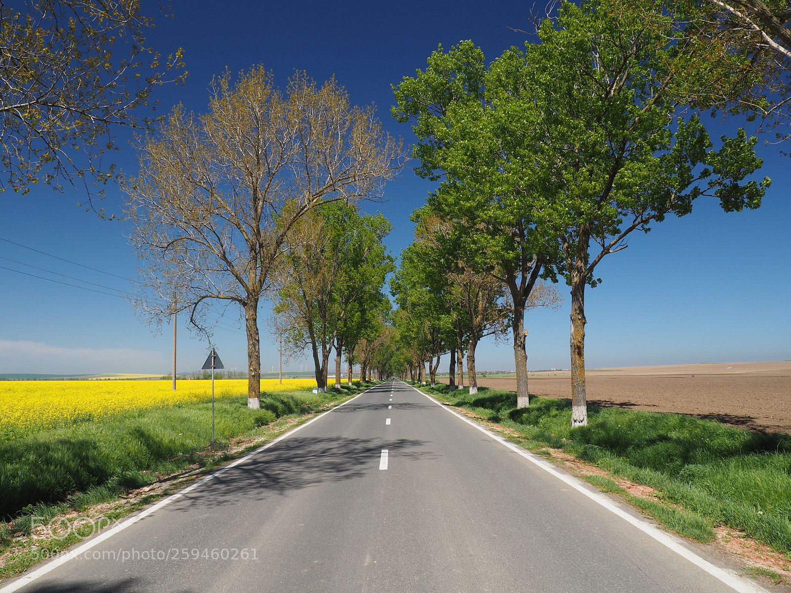 Olympus OM-D E-M10 II sample photo. Dobrogea sun photography