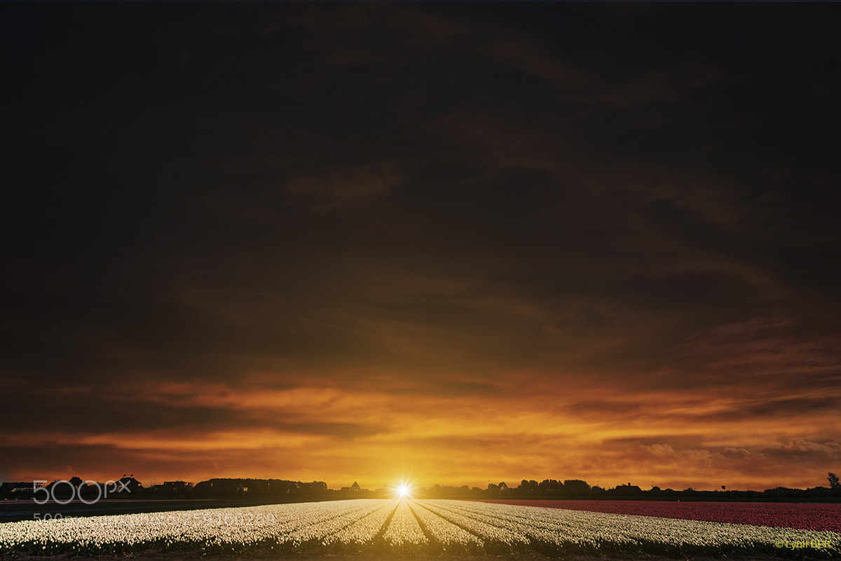 Nikon D750 sample photo. Sunset photography