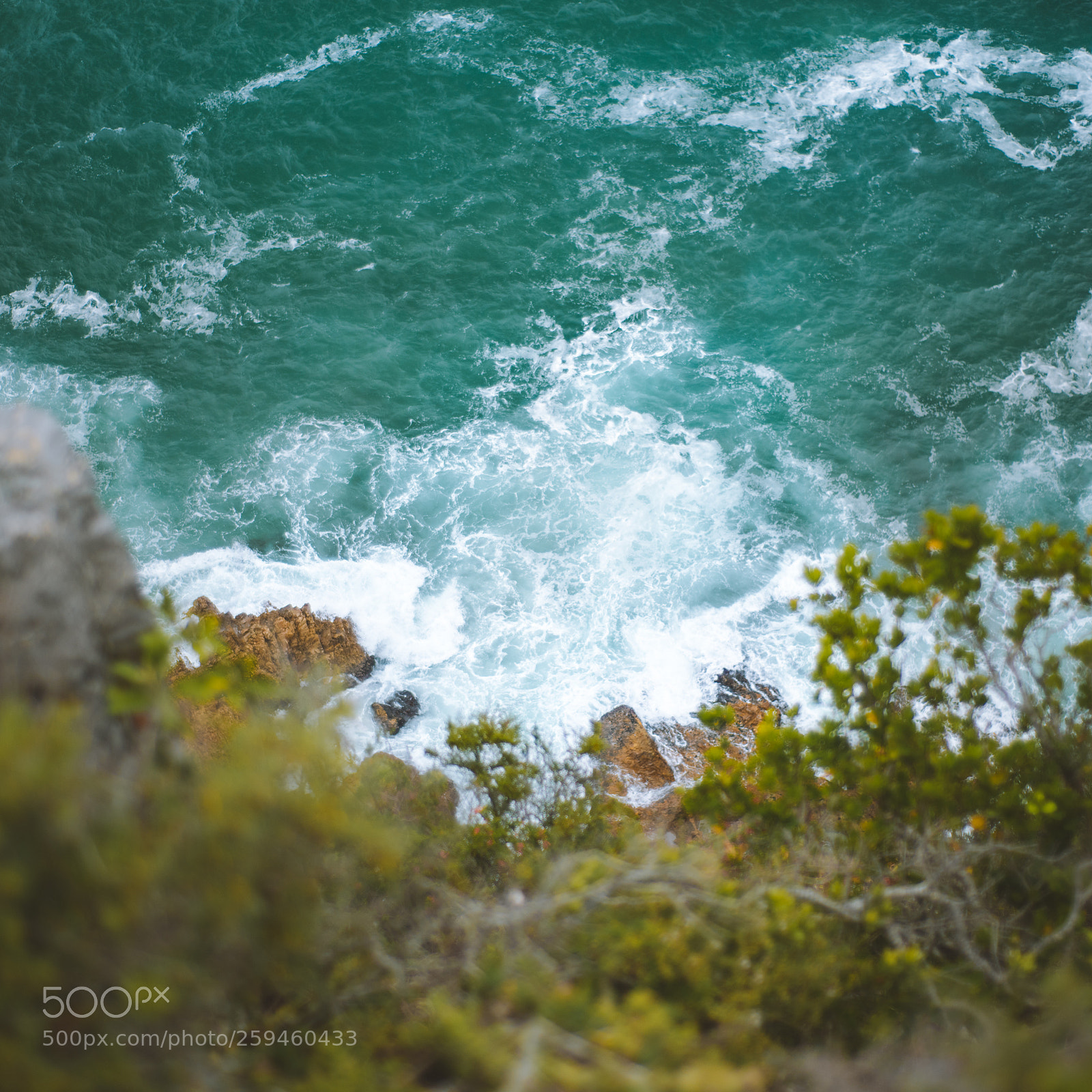 Nikon D810 sample photo. Top-down photography