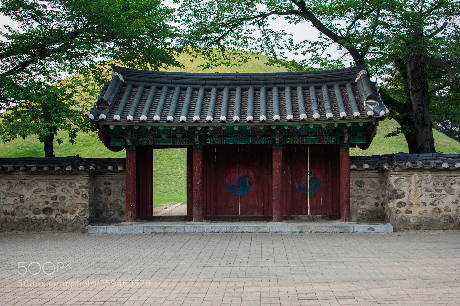 Nikon D3400 sample photo. Gyeongju burial tombs photography