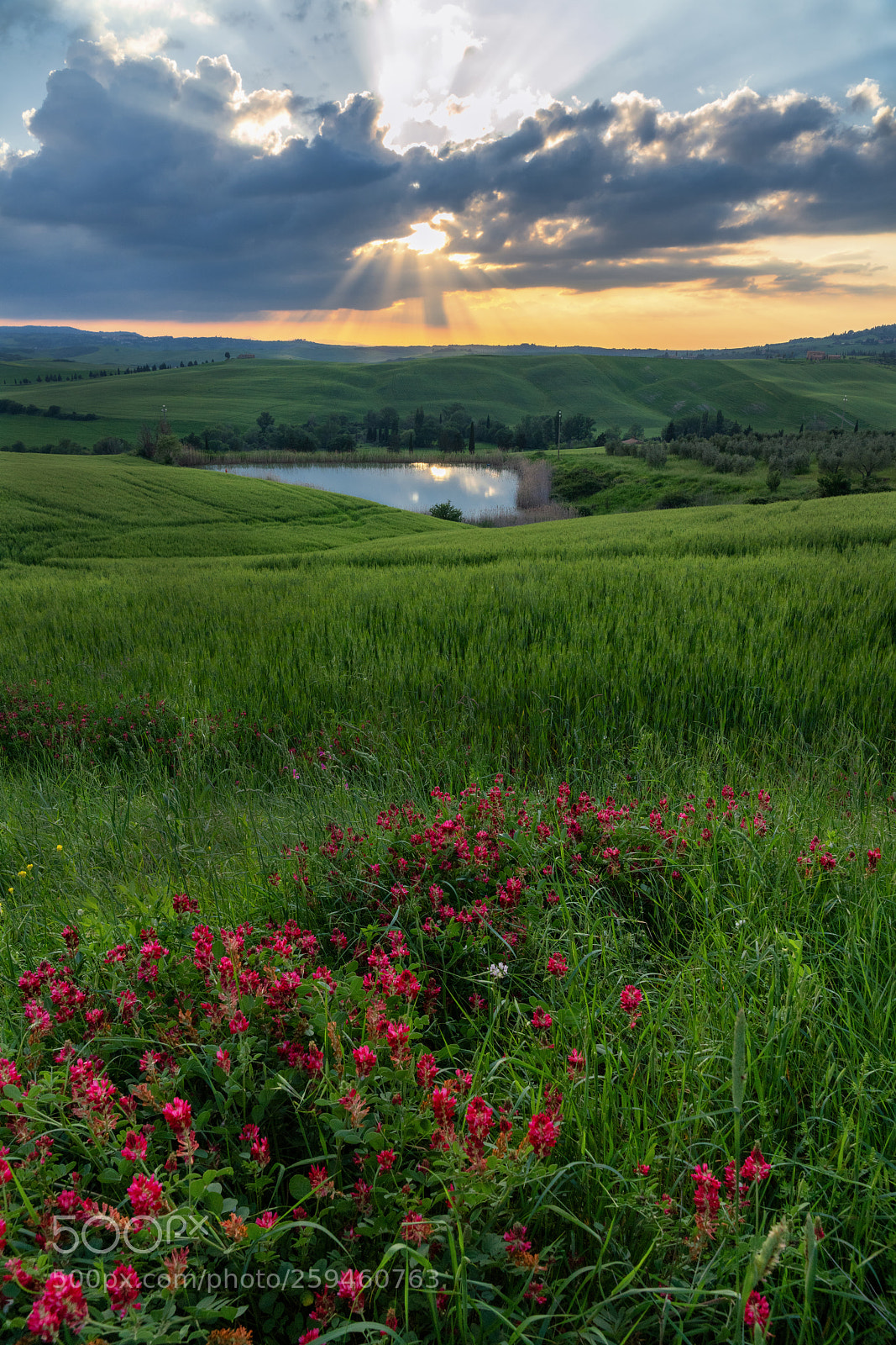 Sony a99 II sample photo. Val d'orcia sunrise photography