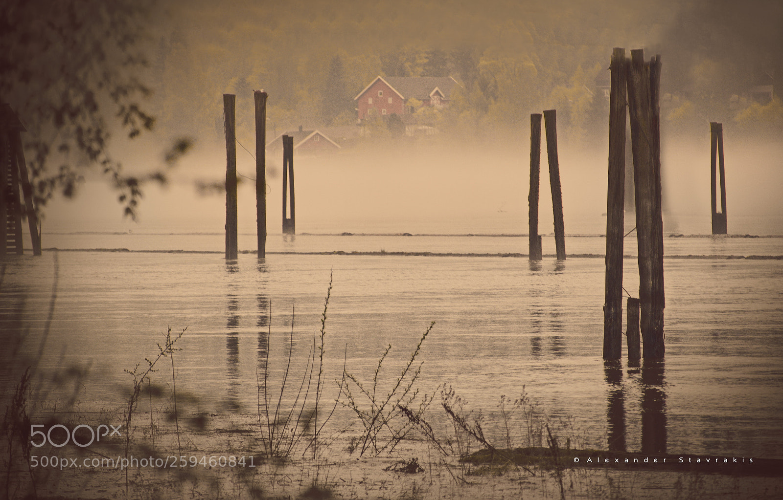 Nikon D3100 sample photo. Fog in the river.. photography