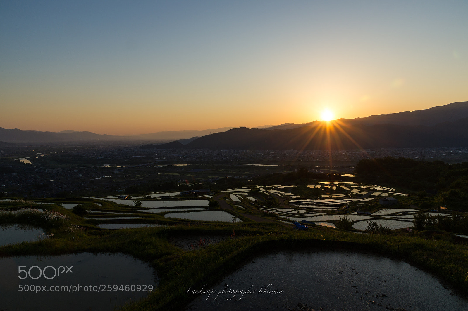 Nikon D3S sample photo. Morning sun photography