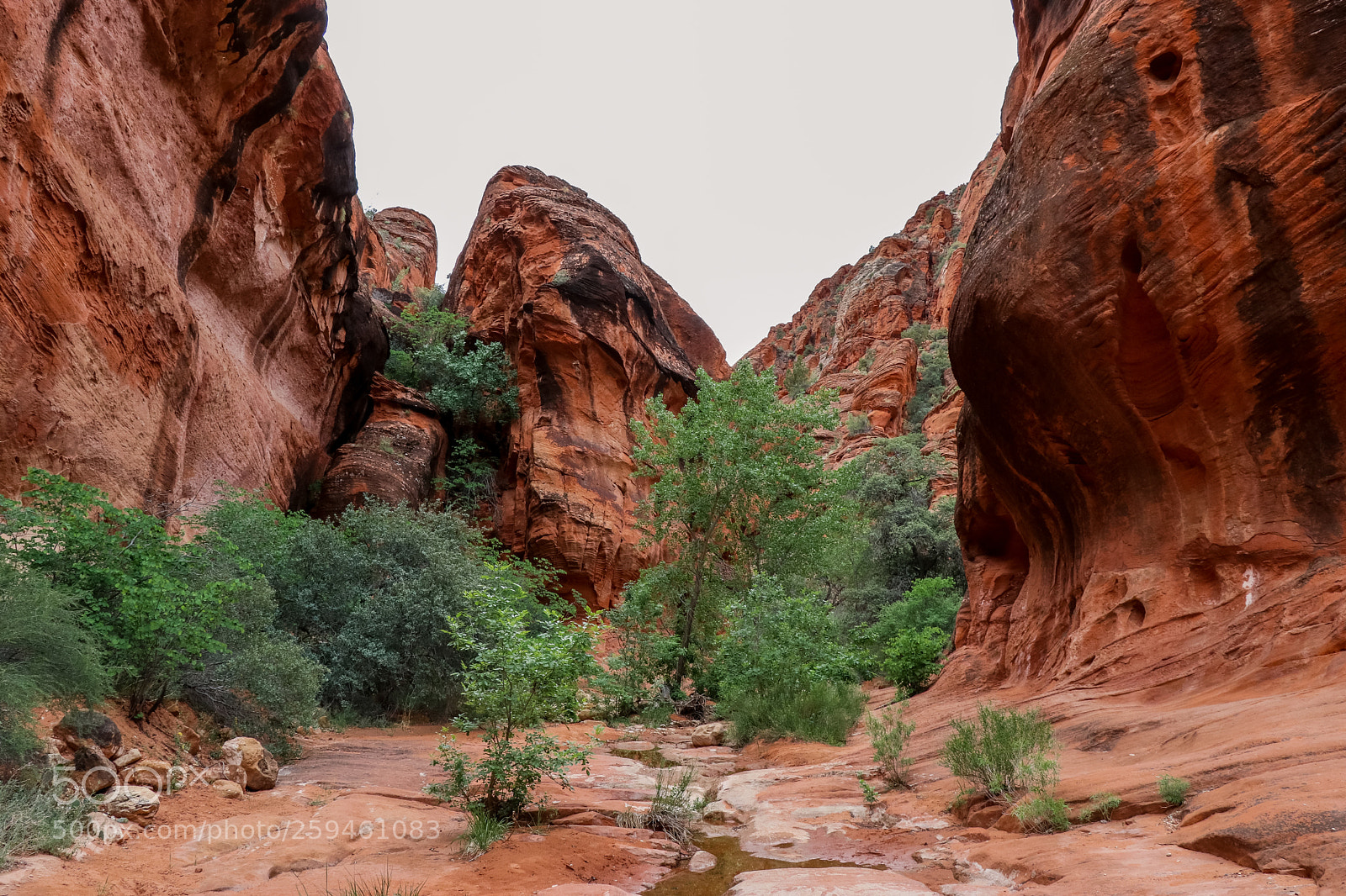 Canon EOS 80D sample photo. Red rocks photography
