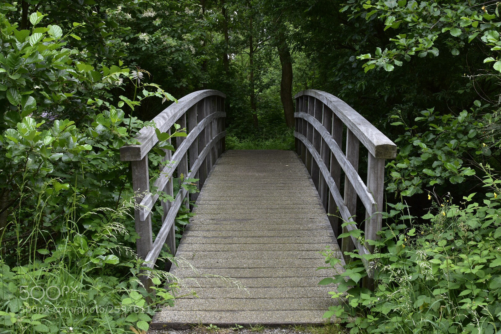 Nikon D5500 sample photo. Untitled photography