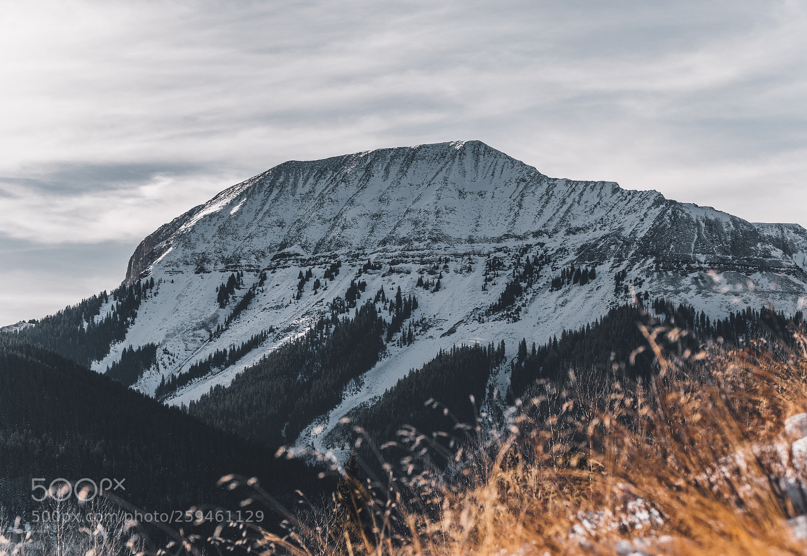 Fujifilm X-Pro2 sample photo. Grayrock peak photography