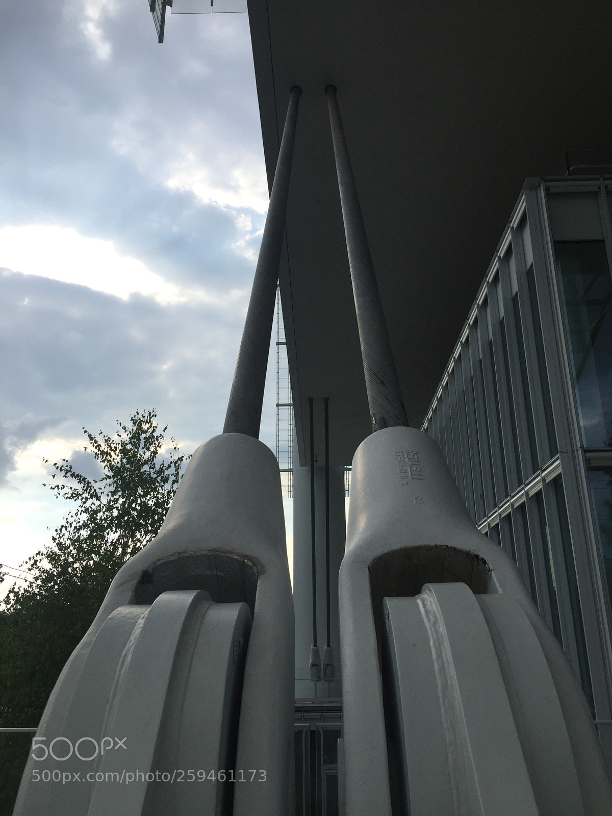 Apple iPhone 6 sample photo. Untitled photography