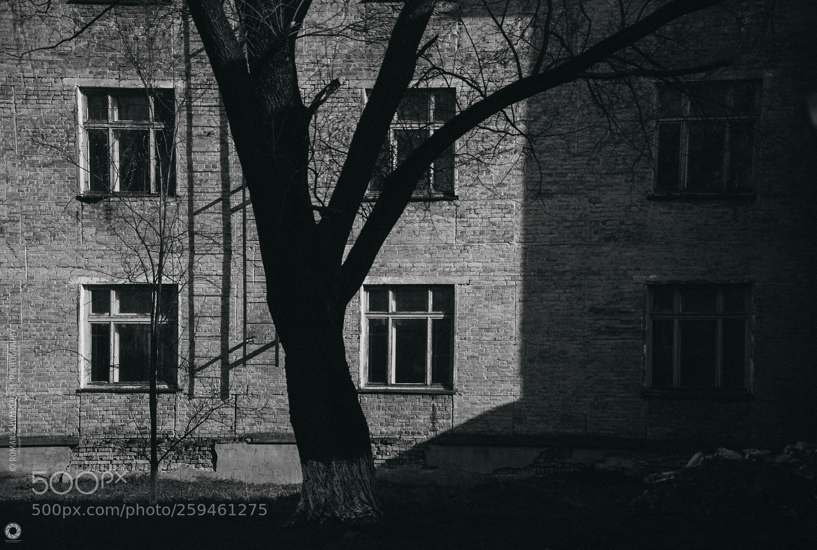 Nikon D90 sample photo. #linesandshadows (11) photography