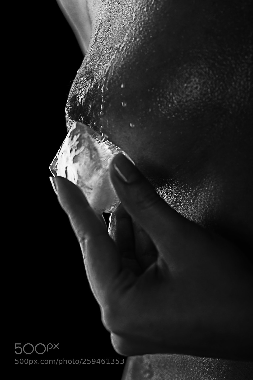 Nikon D800 sample photo. Untitled photography