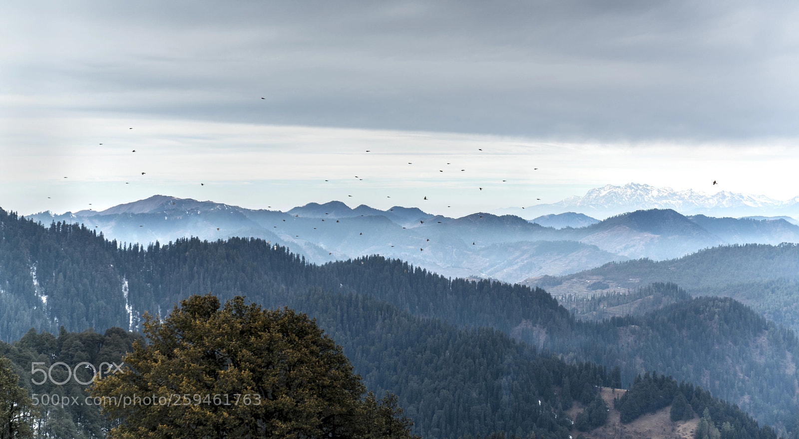 Sony a7R II sample photo. Himachal photography