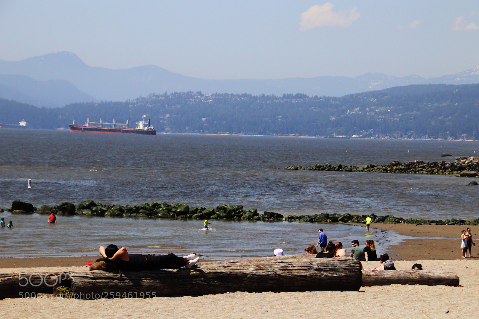 Canon EOS 800D (EOS Rebel T7i / EOS Kiss X9i) sample photo. Soaking up the sun.  photography