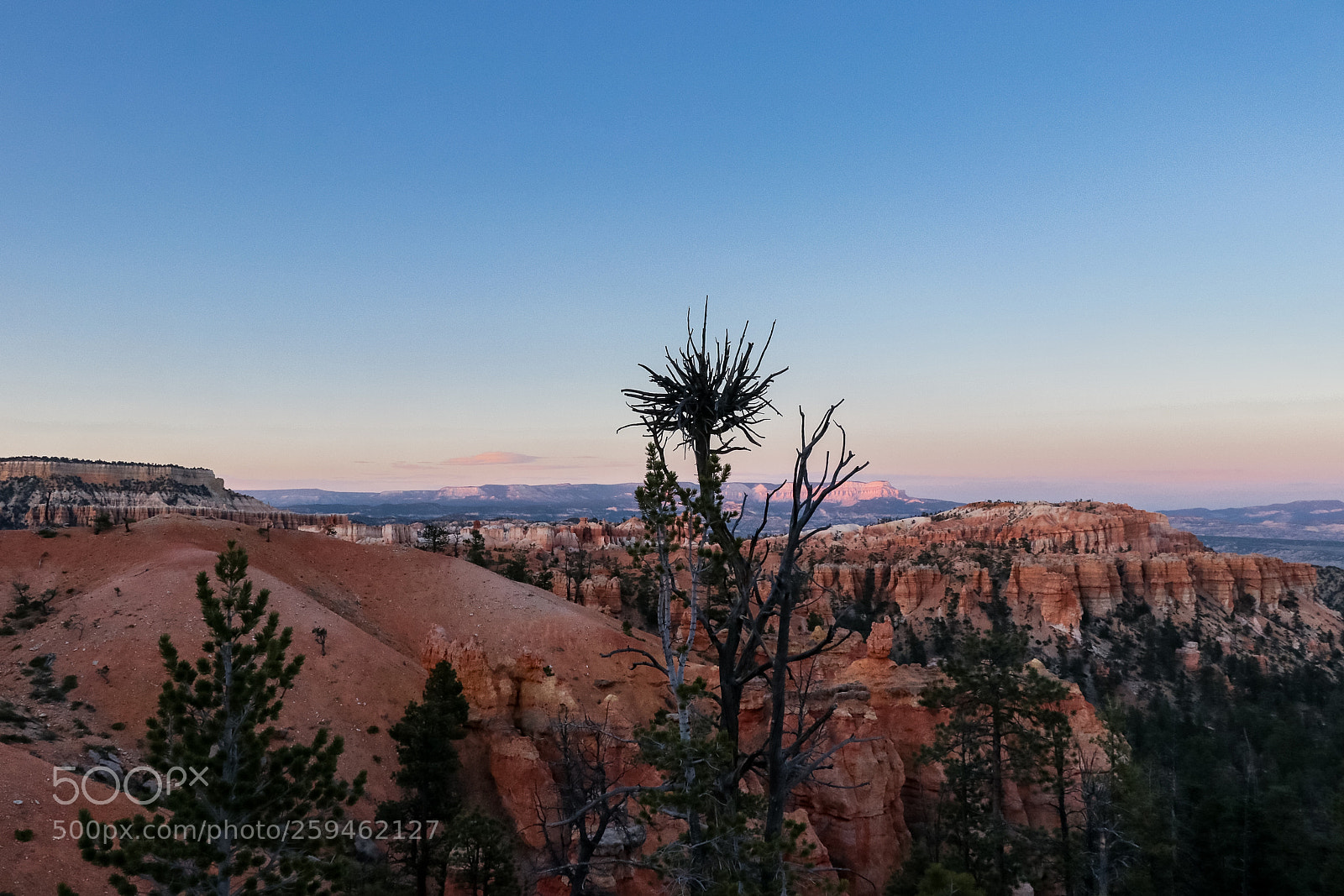 Canon EOS 80D sample photo. On top. bryce canyon photography