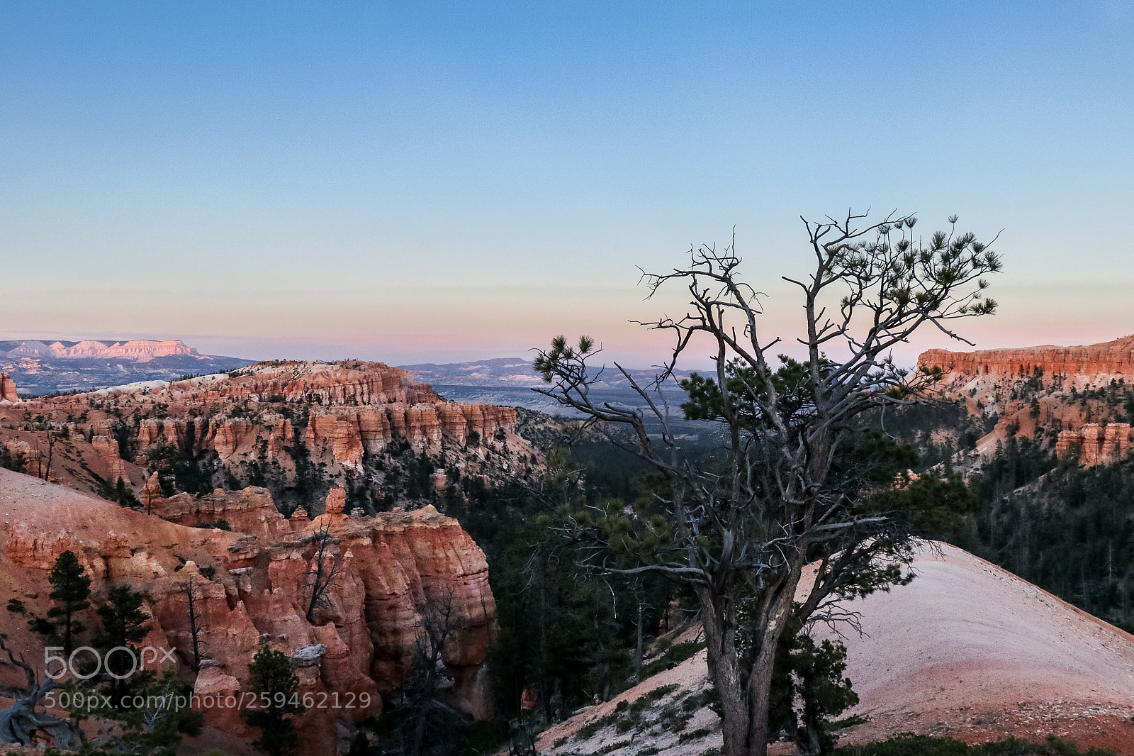 Canon EOS 80D sample photo. On top. bryce canyon photography